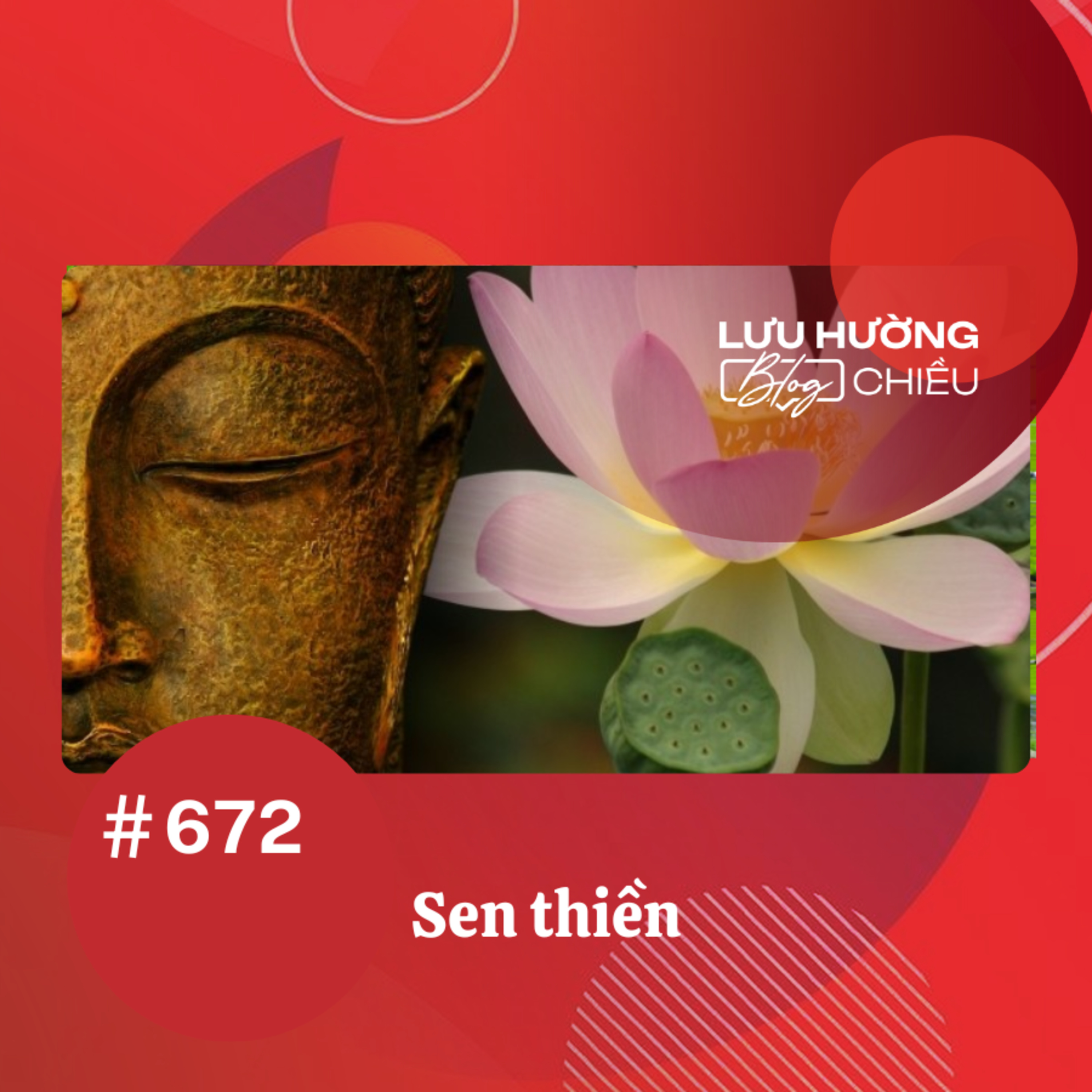 Sen thiền | Lưu Hường blog chiều | Đài Hà Nội episode artwork
