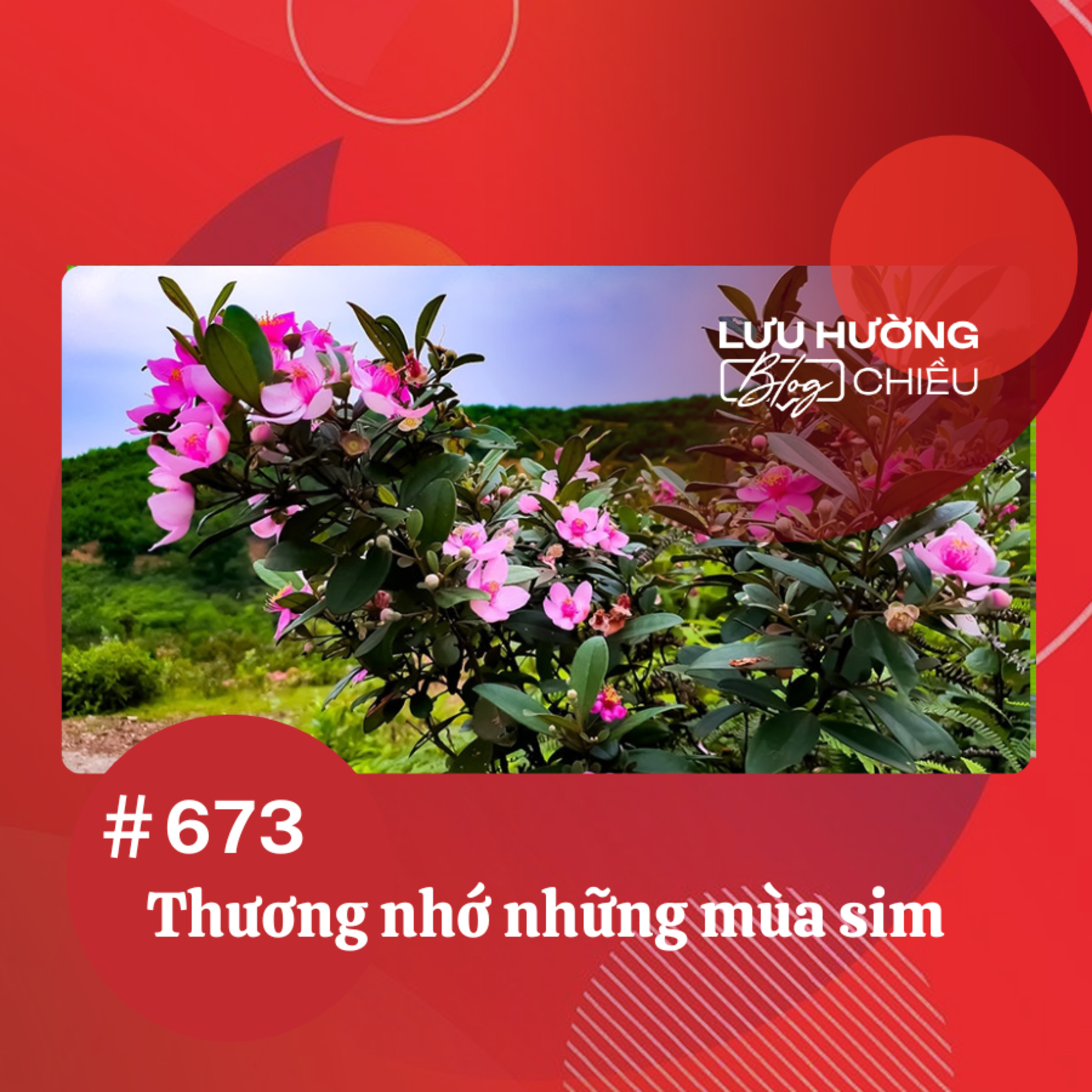 Thương nhớ những mùa sim | Lưu Hường blog chiều | Đài Hà Nội episode artwork