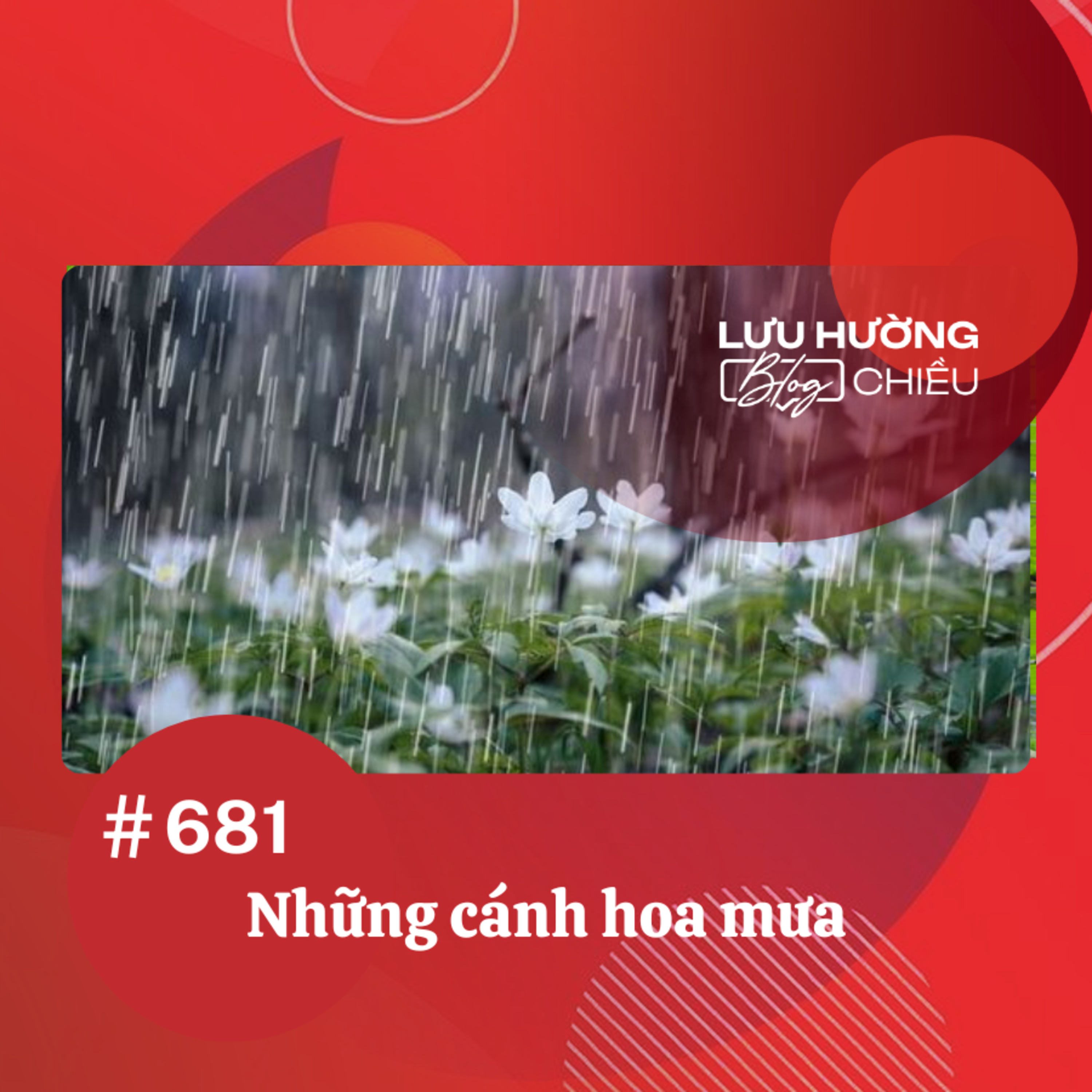  Những cánh hoa mưa | Lưu Hường blog chiều | Đài Hà Nội episode artwork