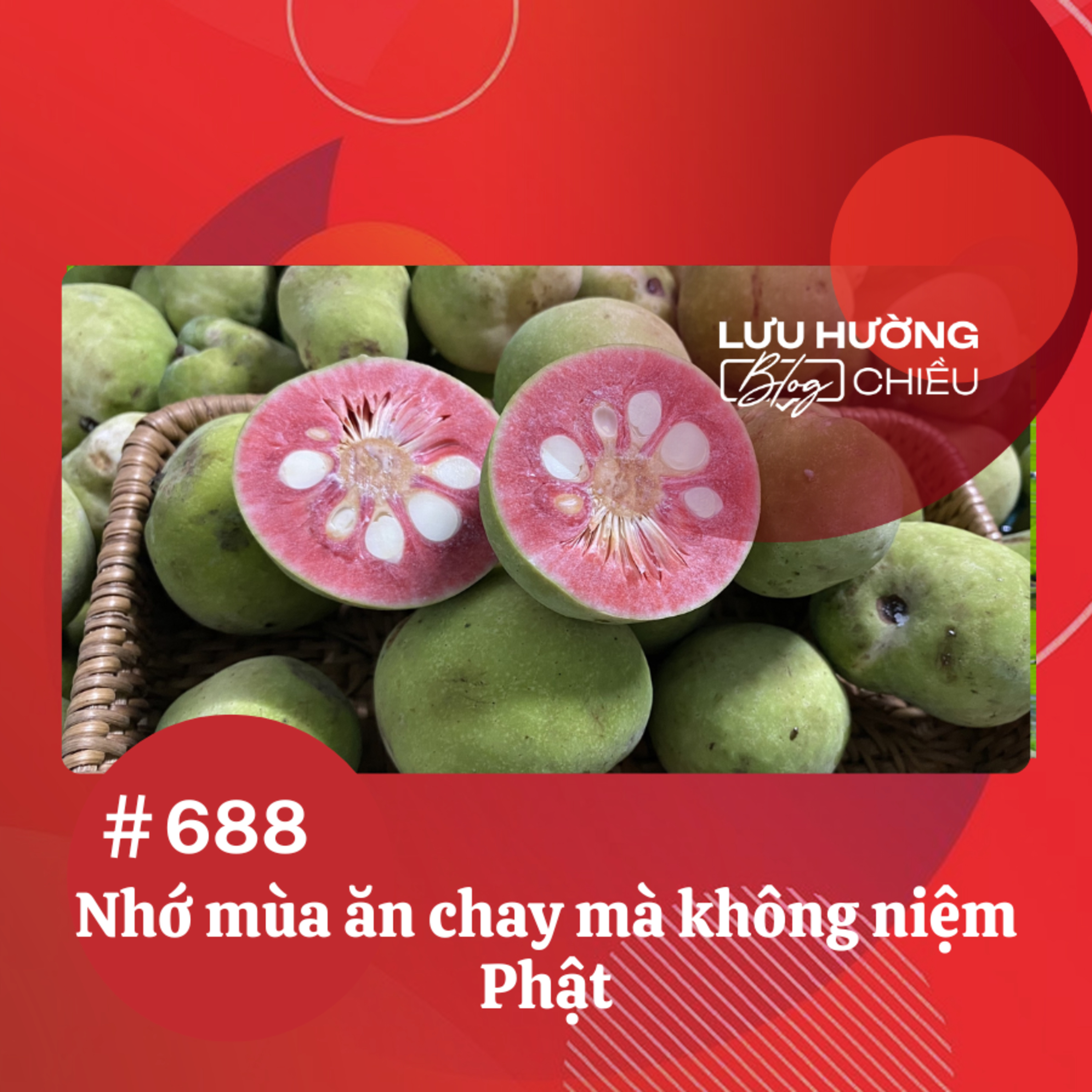  Nhớ mùa ăn chay mà không niệm Phật | Lưu Hường blog chiều | Đài Hà Nội episode artwork