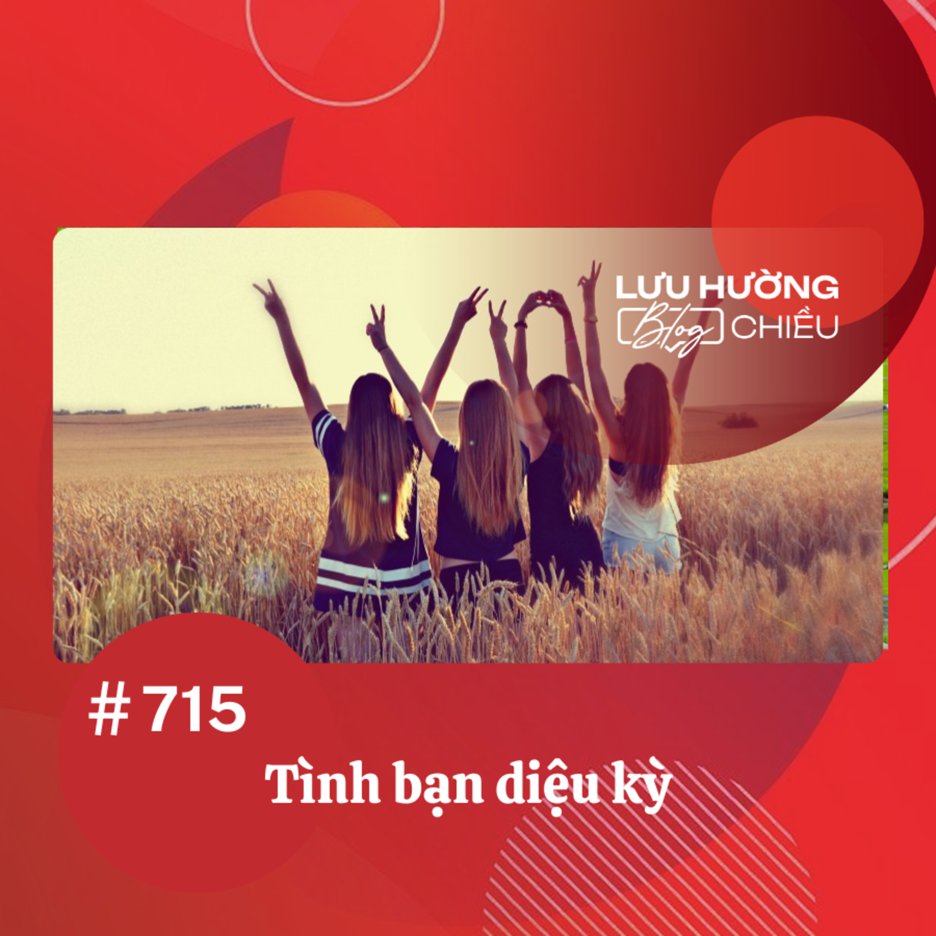  Tình bạn diệu kỳ | Lưu Hường blog chiều | Đài Hà Nội episode artwork