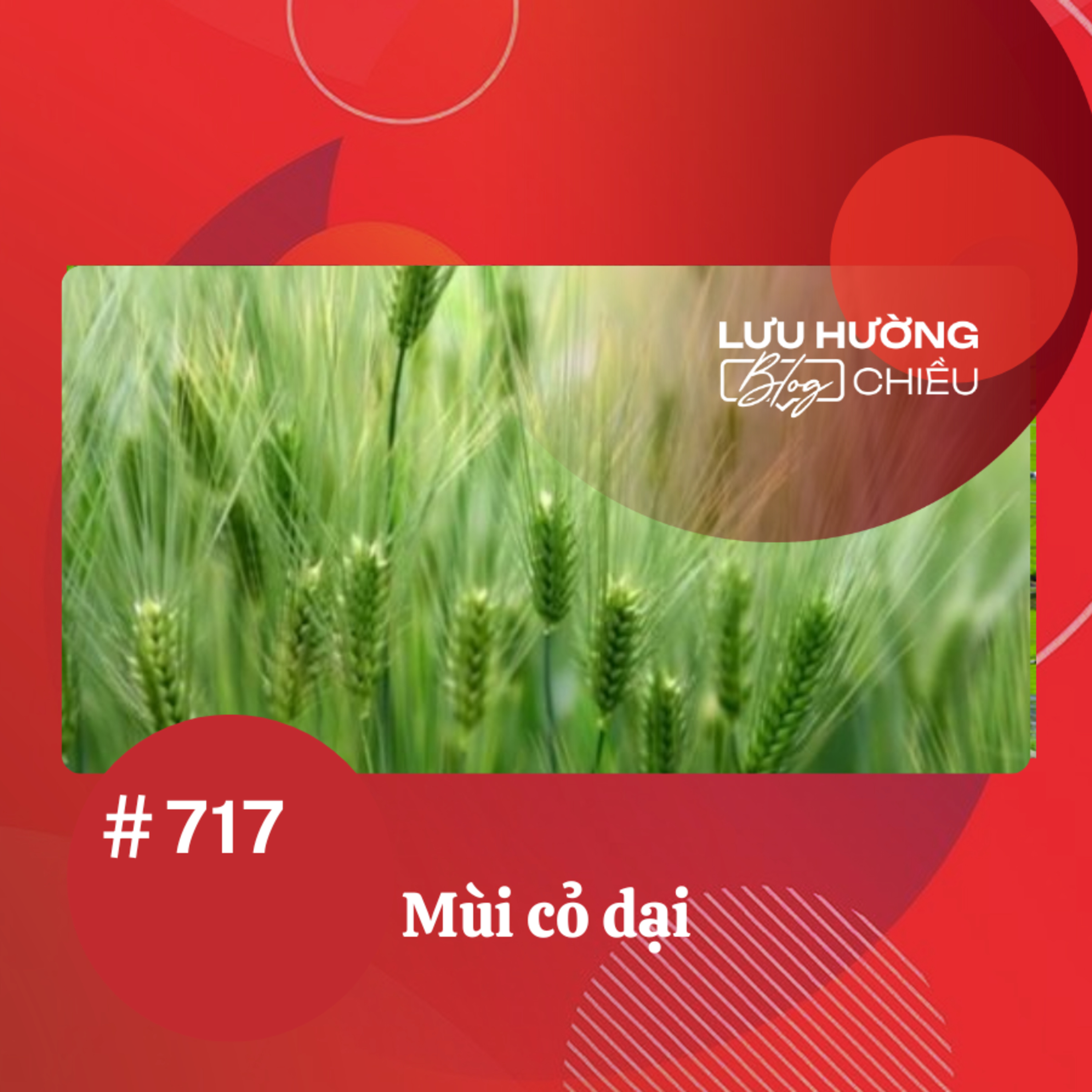  Mùi cỏ dại | Lưu Hường blog chiều | Đài Hà Nội episode artwork