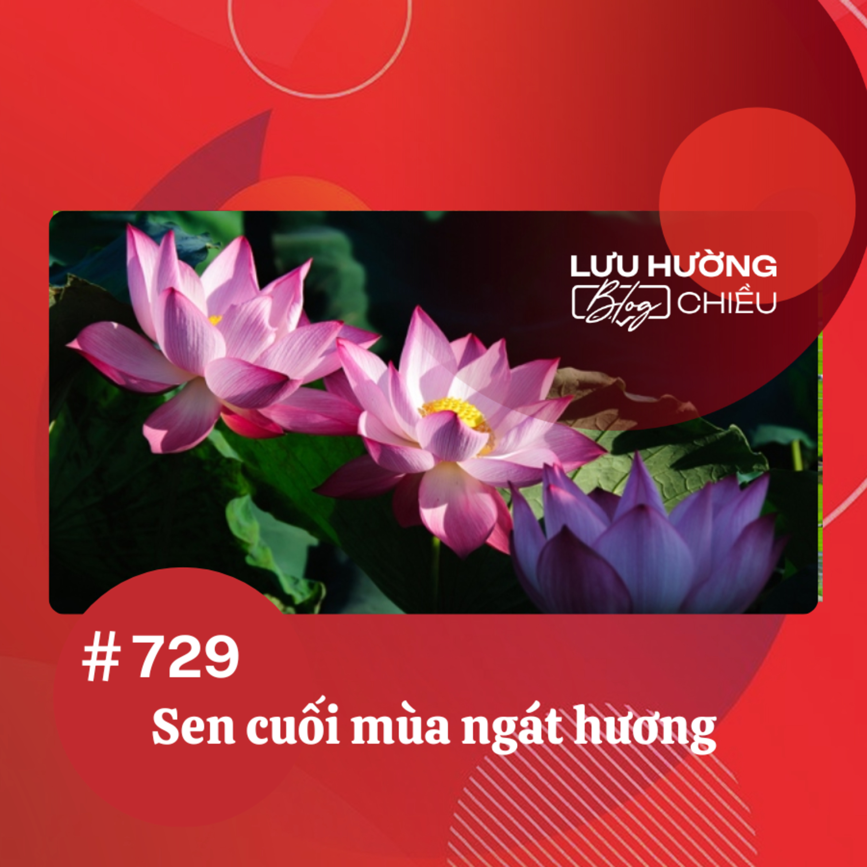 Sen cuối mùa ngát hương | Lưu Hường blog chiều | Đài Hà Nội episode artwork
