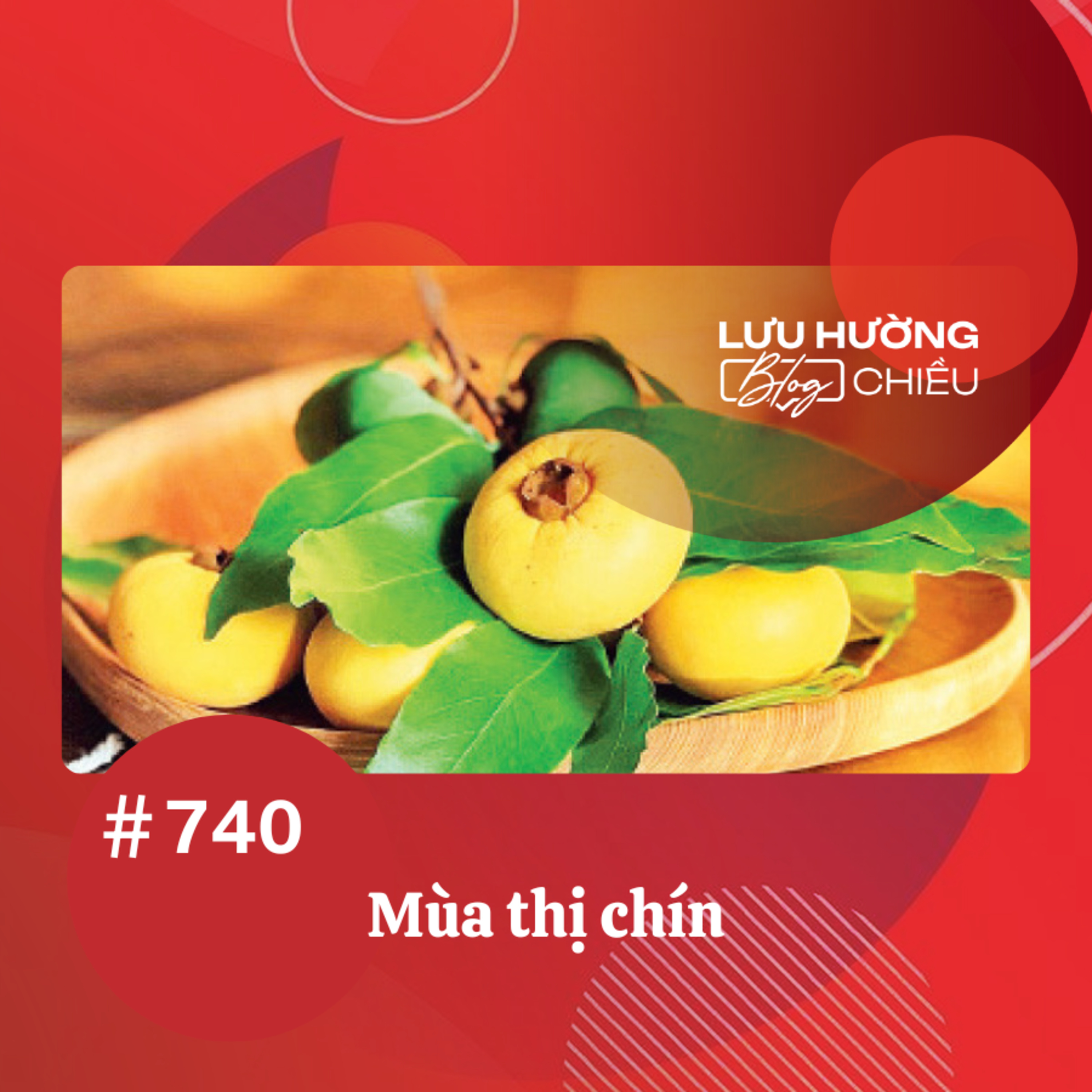  Mùa thị chín | Lưu Hường blog chiều | Đài Hà Nội episode artwork