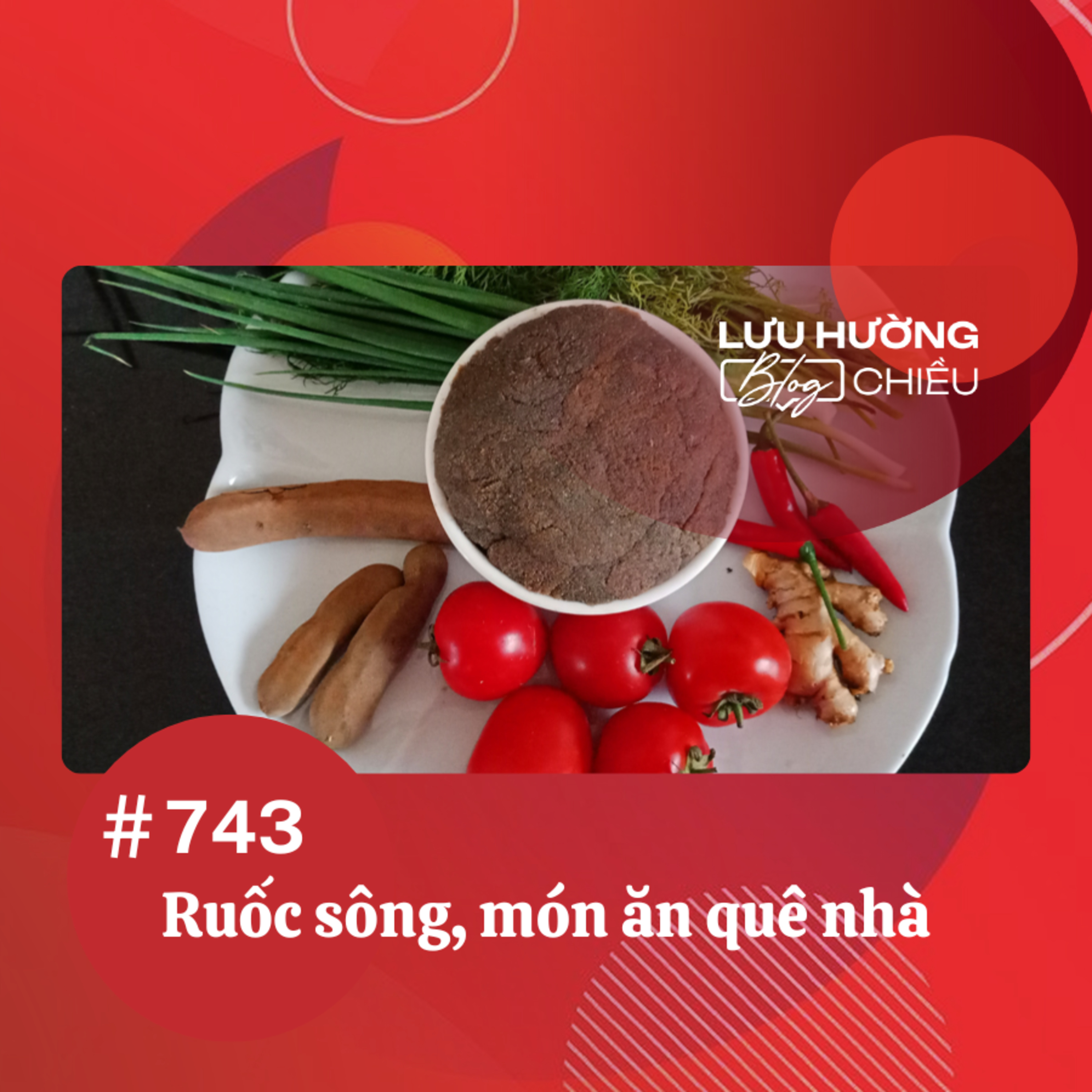  Ruốc sông - món ăn quê nhà | Lưu Hường blog chiều | Đài Hà Nội episode artwork