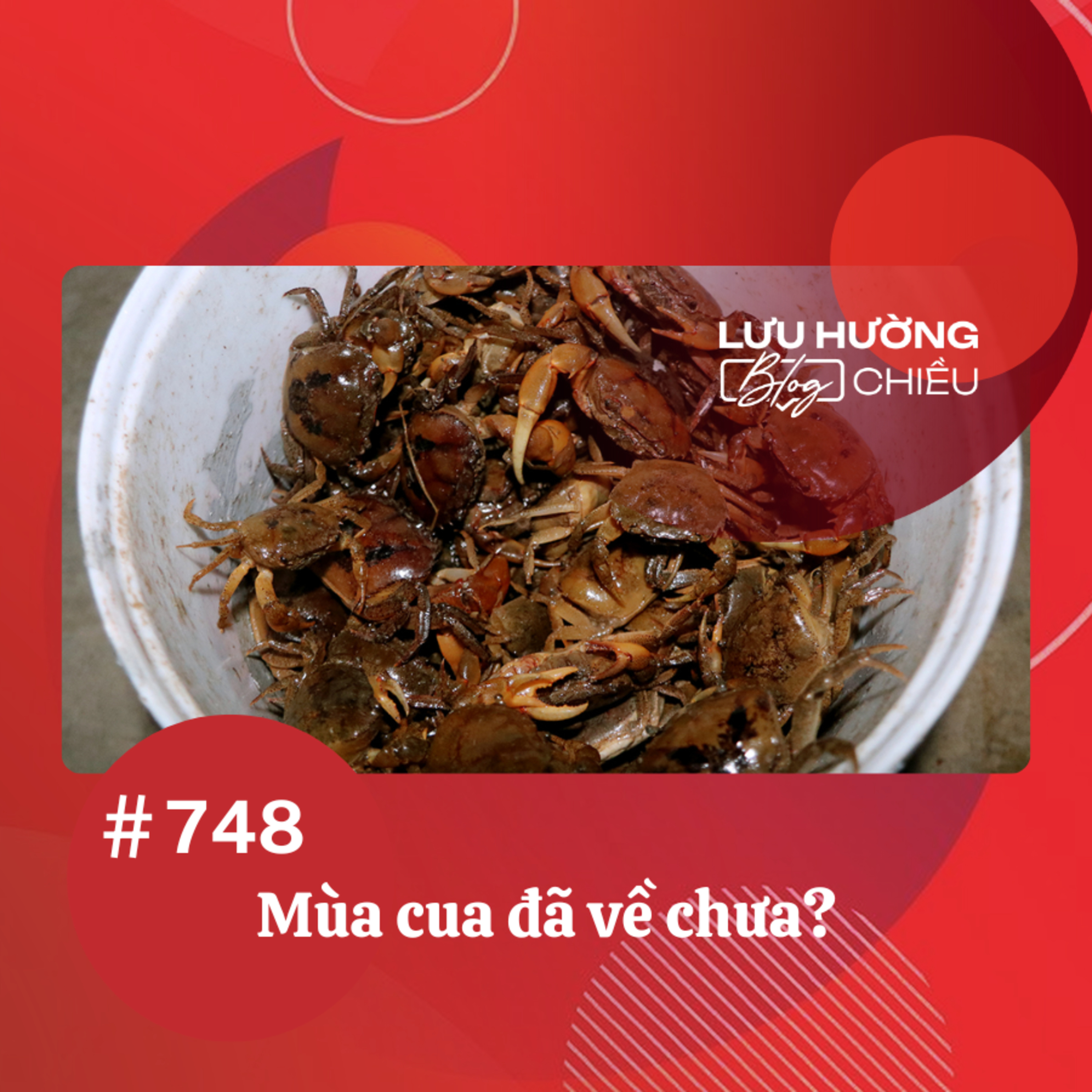  Mùa cua đã về chưa? | Lưu Hường blog chiều | Đài Hà Nội episode artwork