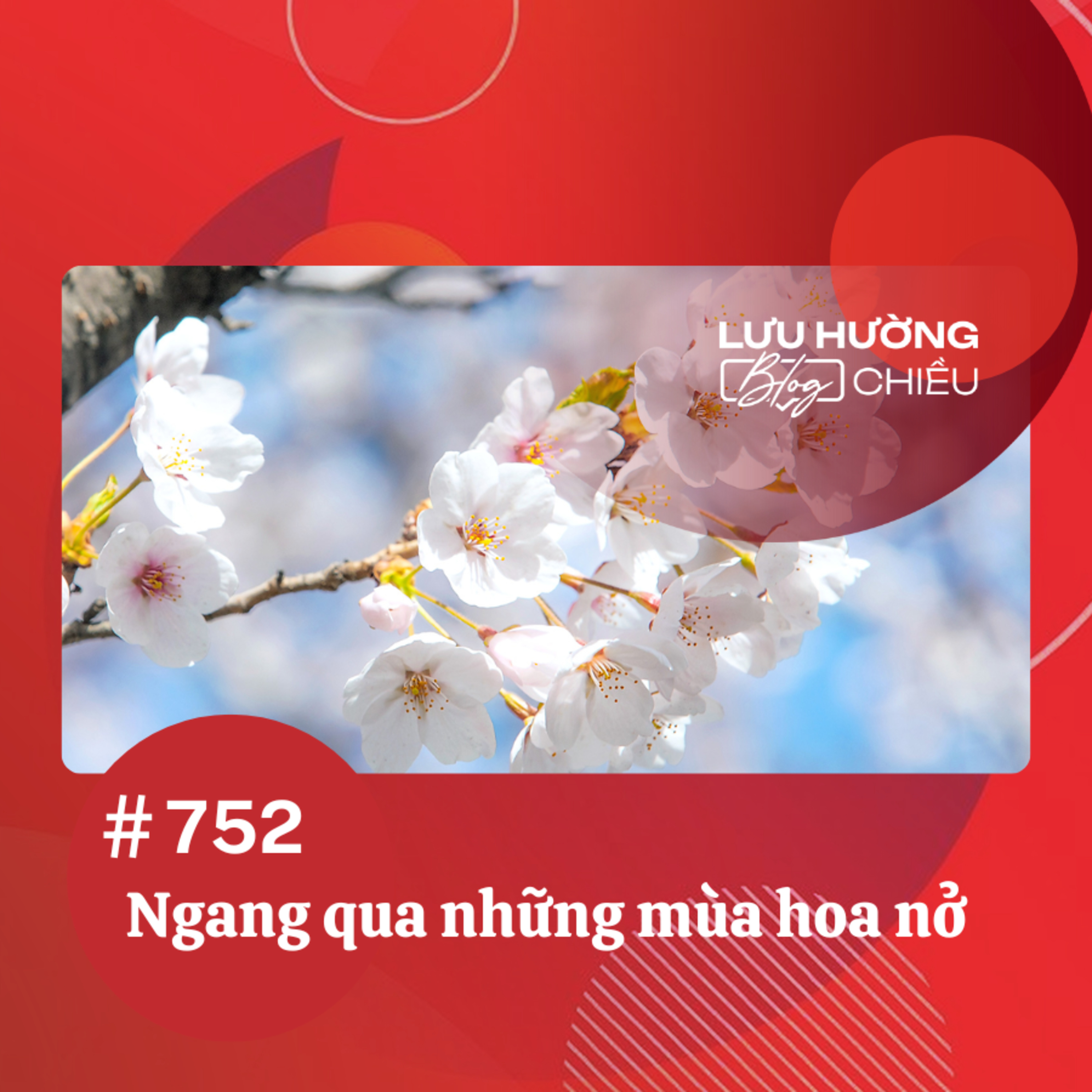  Ngang qua những mùa hoa nở | Lưu Hường blog chiều | Đài Hà Nội episode artwork