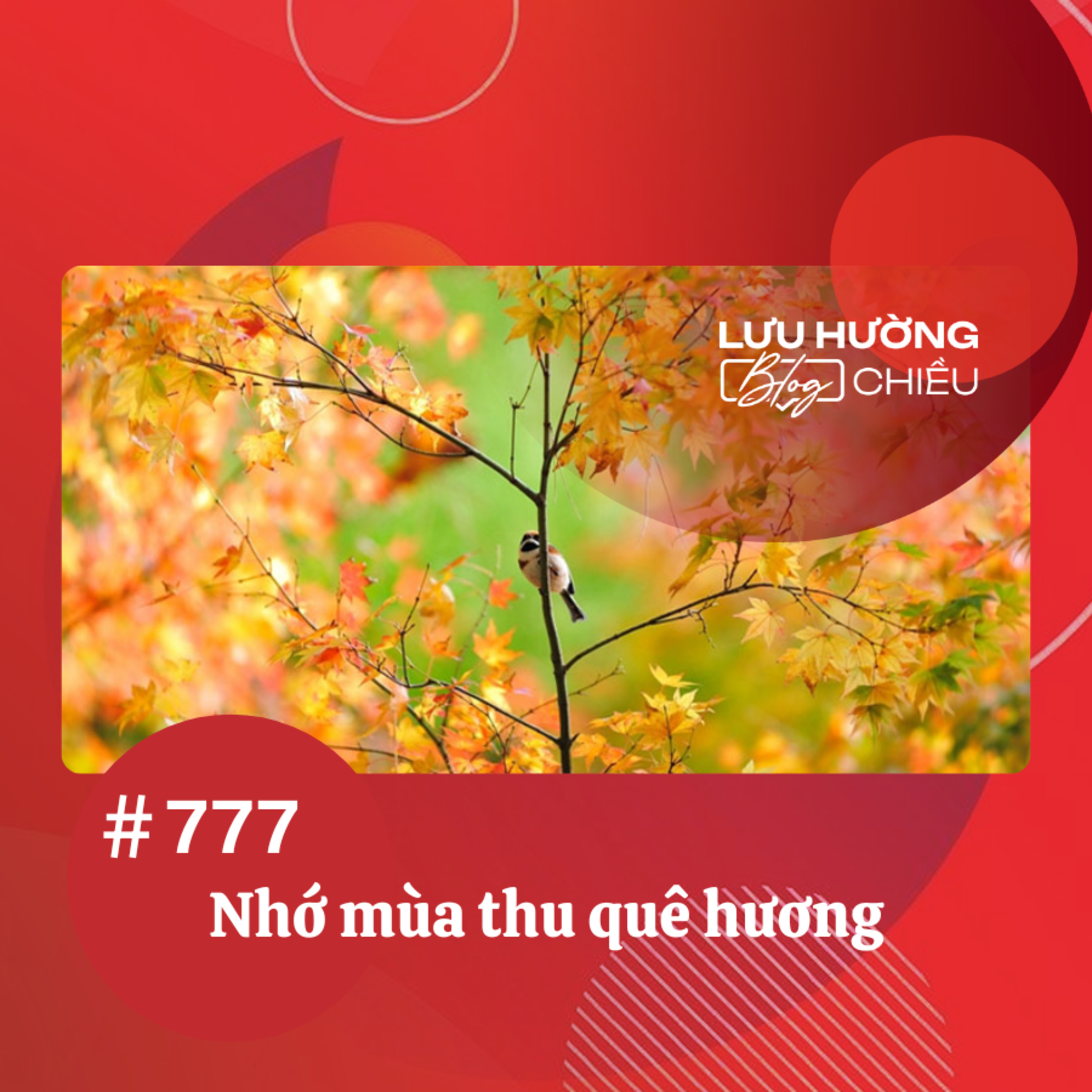  Nhớ mùa thu quê hương | Lưu Hường blog chiều | Đài Hà Nội episode artwork