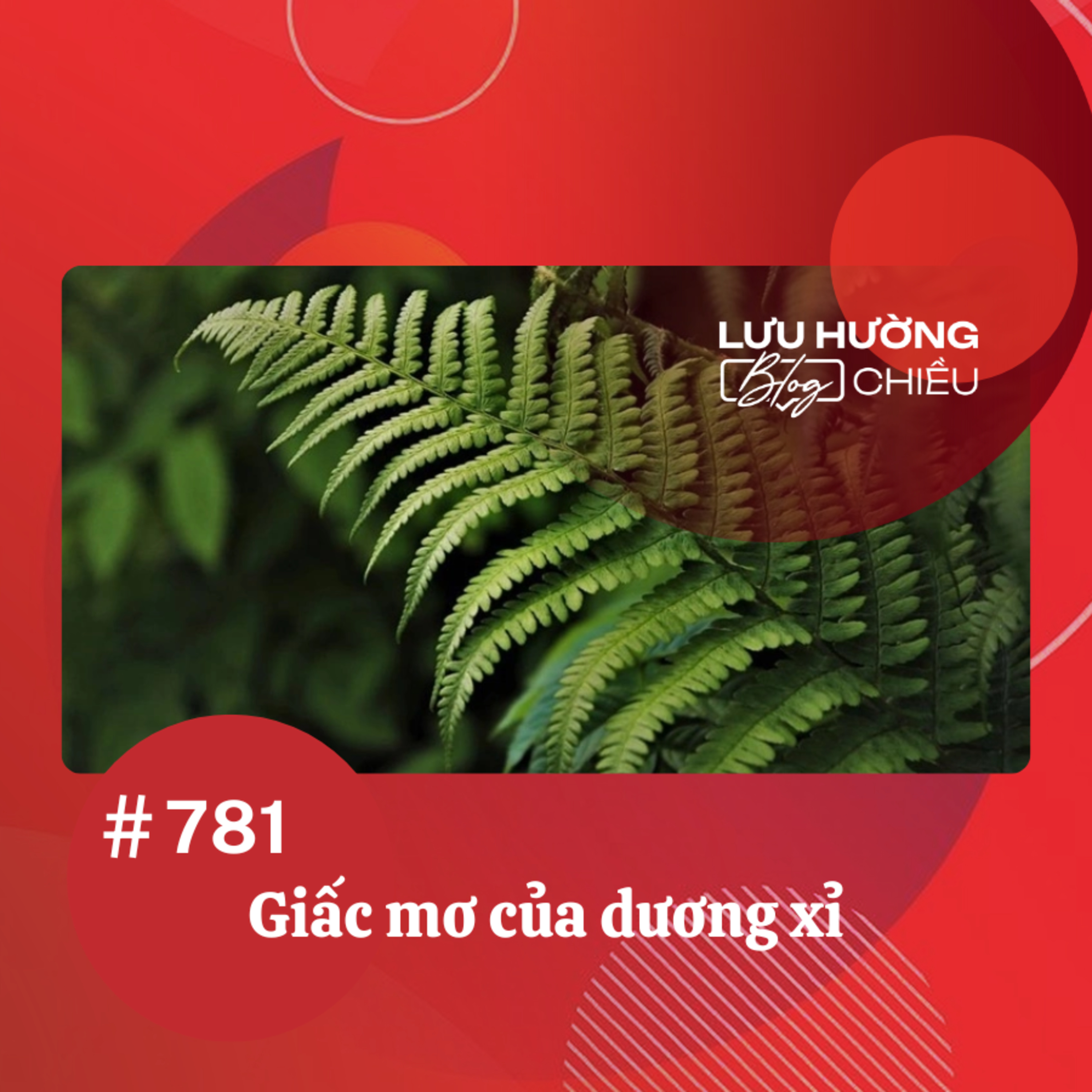 Giấc mơ của dương xỉ | Lưu Hường blog chiều | Đài Hà Nội episode artwork