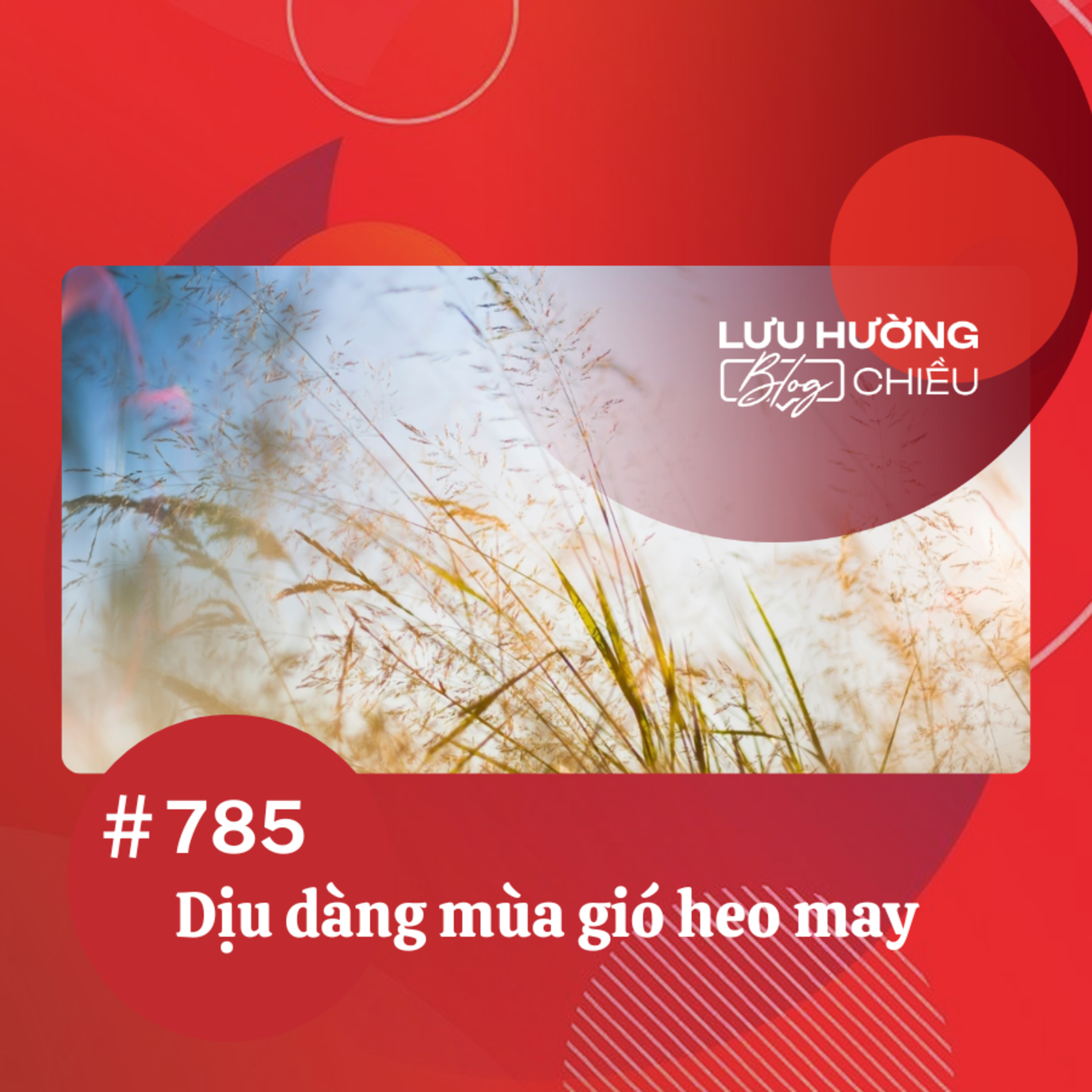  Dịu dàng mùa gió heo may | Lưu Hường blog chiều | Đài Hà Nội episode artwork