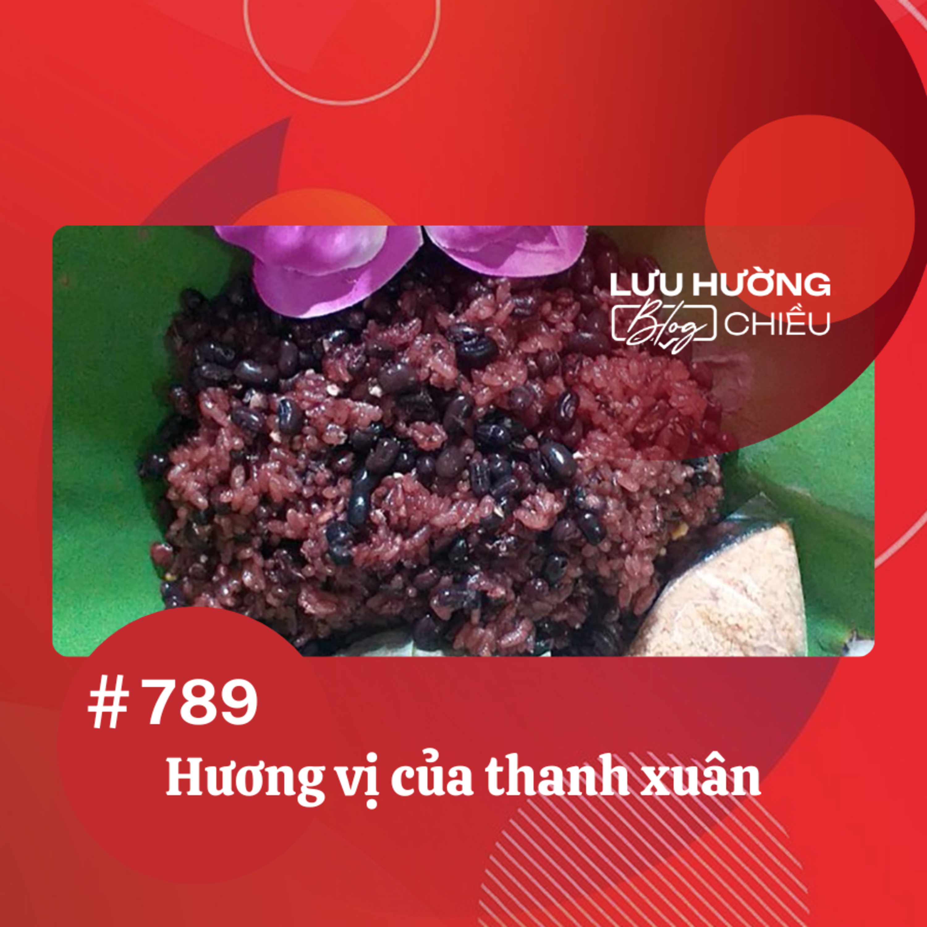  Hương vị của thanh xuân | Lưu Hường blog chiều | Đài Hà Nội episode artwork