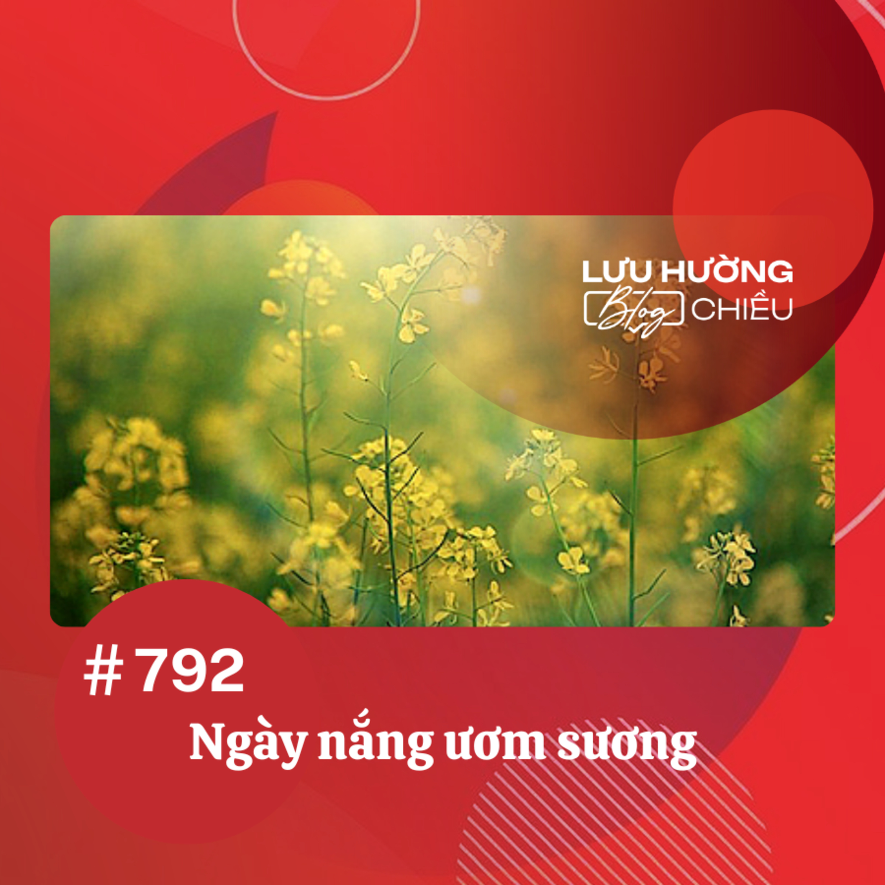  Ngày nắng ươm sương | Lưu Hường blog chiều | Đài Hà Nội episode artwork