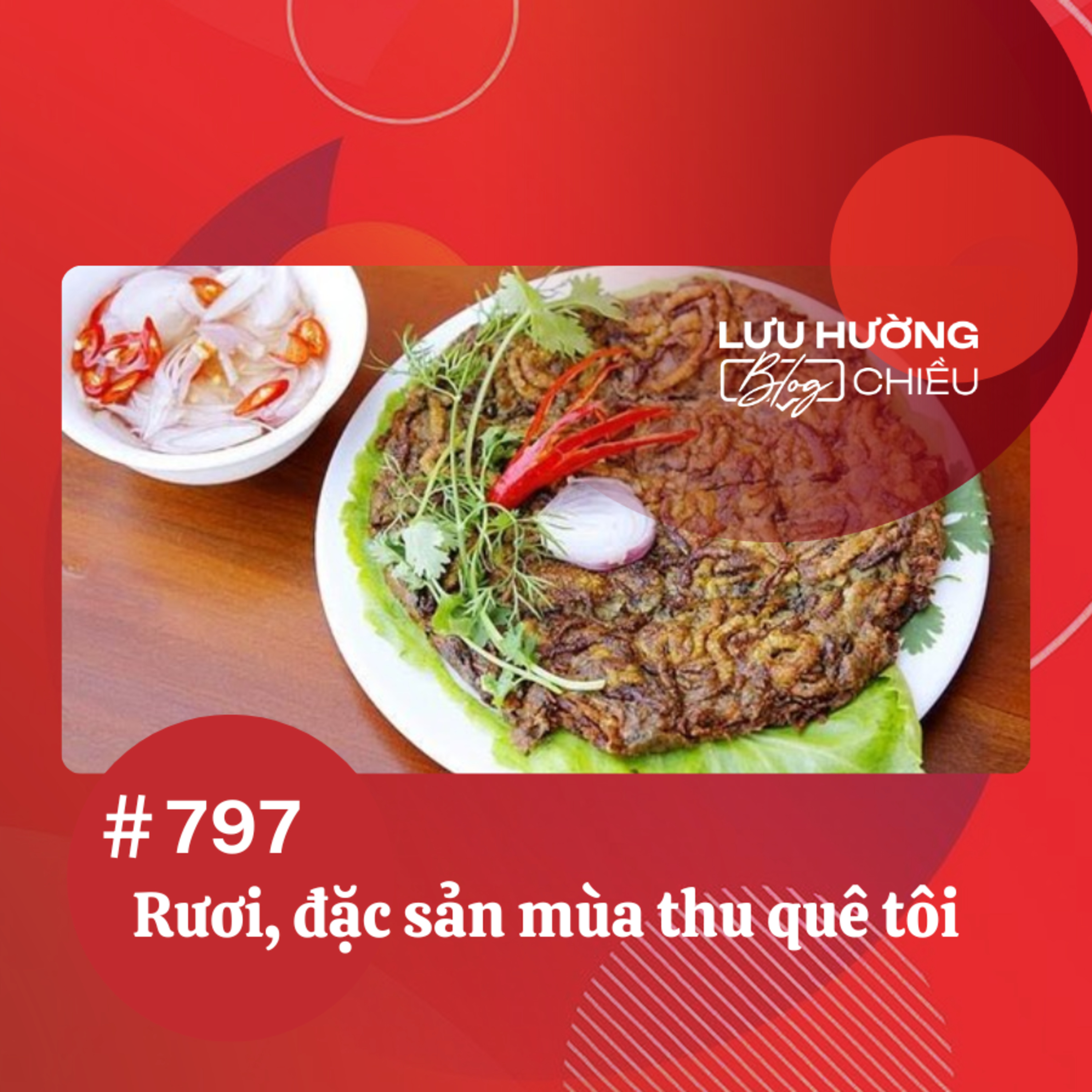  Rươi, đặc sản mùa thu quê tôi | Lưu Hường blog chiều | Đài Hà Nội episode artwork