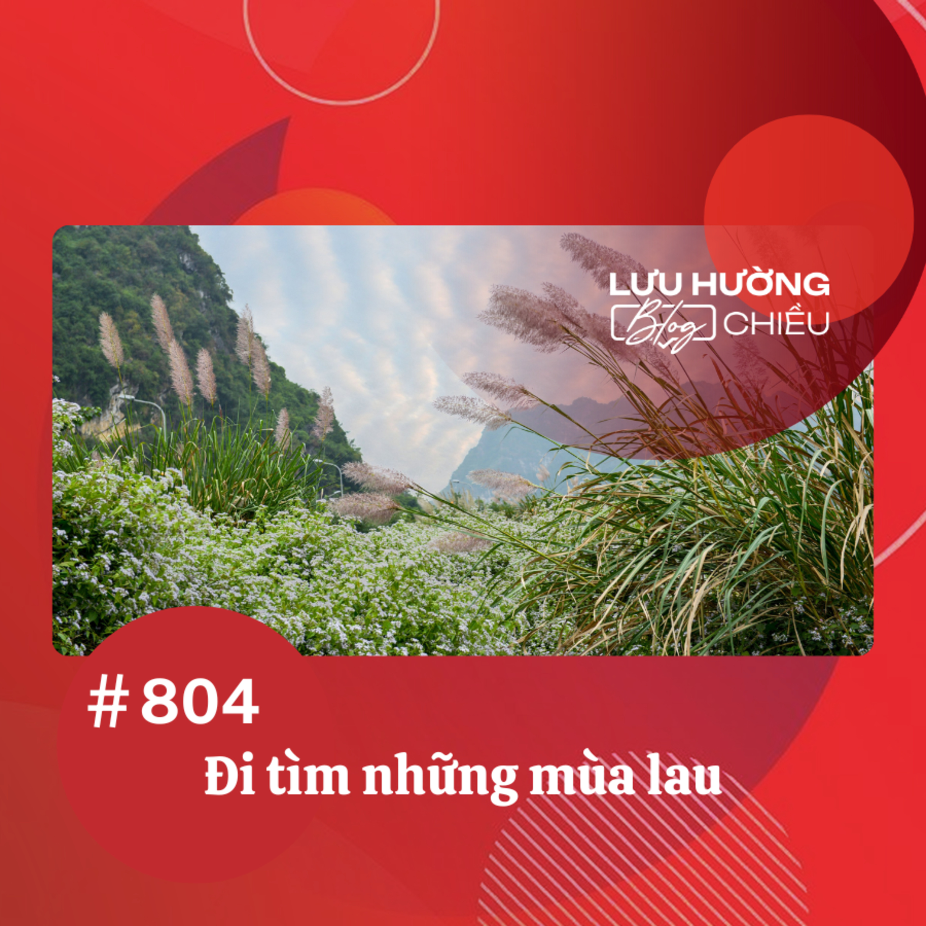  Đi tìm những mùa lau | Lưu Hường blog chiều | Đài Hà Nội episode artwork
