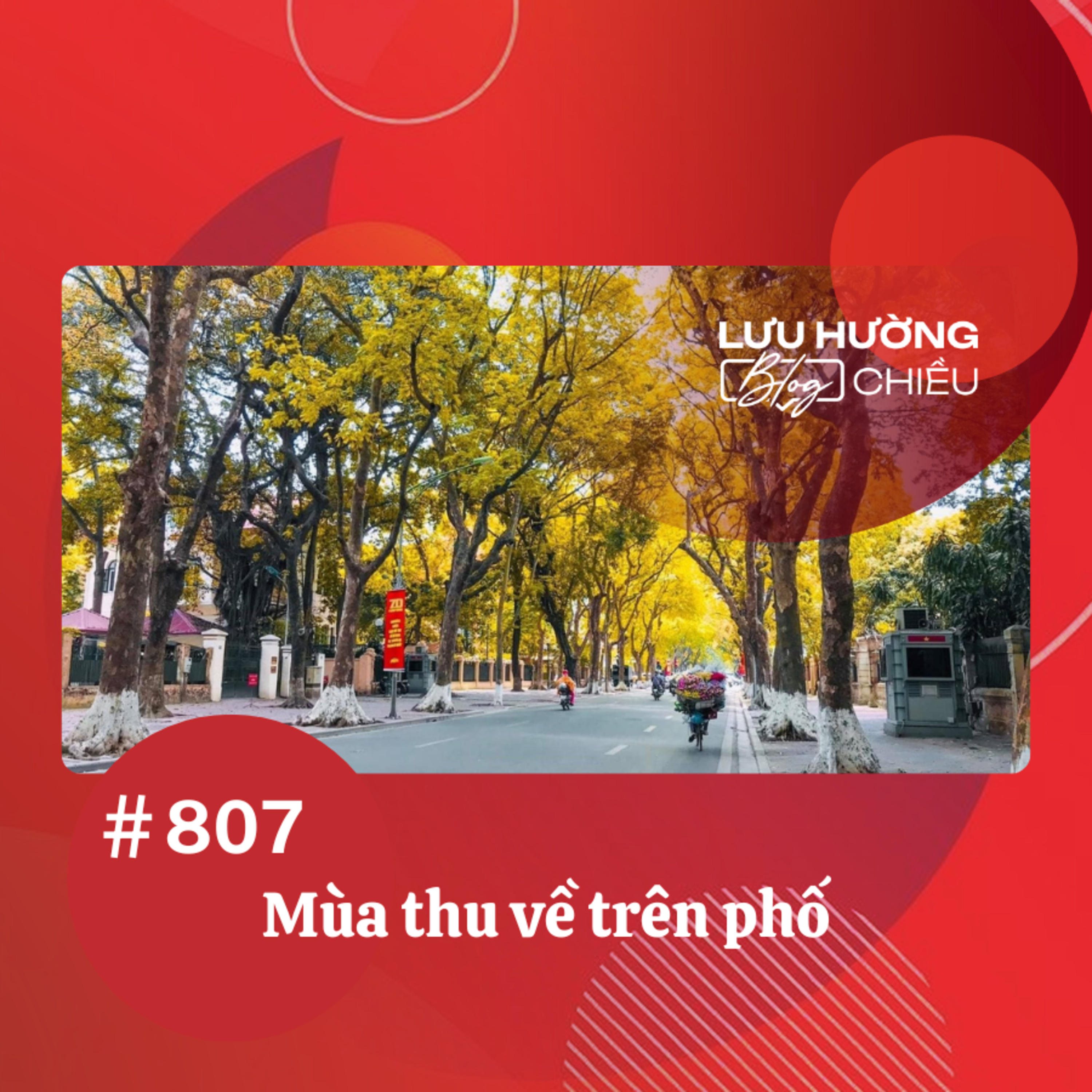 Mùa thu về trên phố | Lưu Hường blog chiều | Đài Hà Nội Mùa thu về trên phố | Lưu Hường blog chiều | Đài Hà Nội