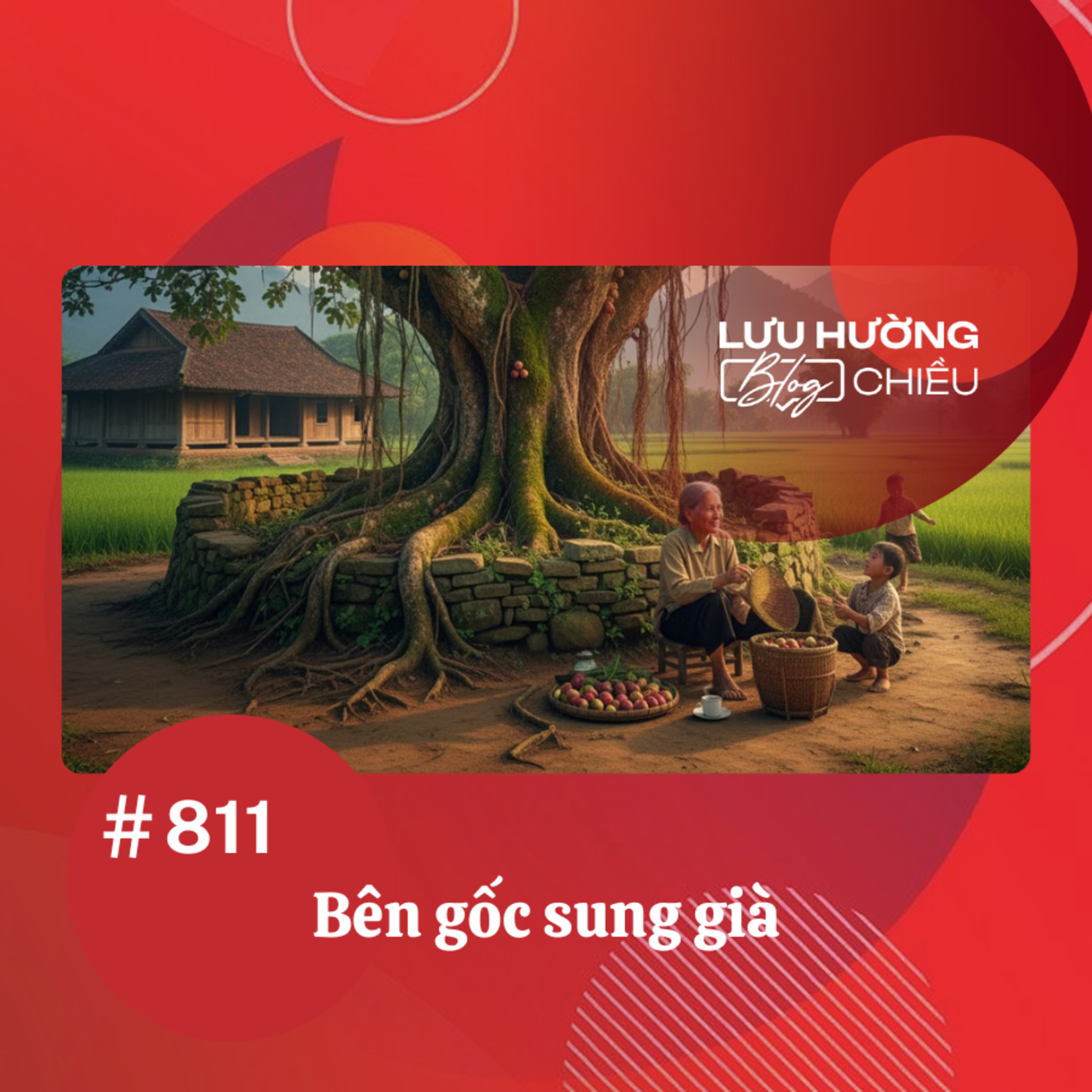 Bên gốc sung già | Lưu Hường blog chiều | Đài Hà Nội episode artwork
