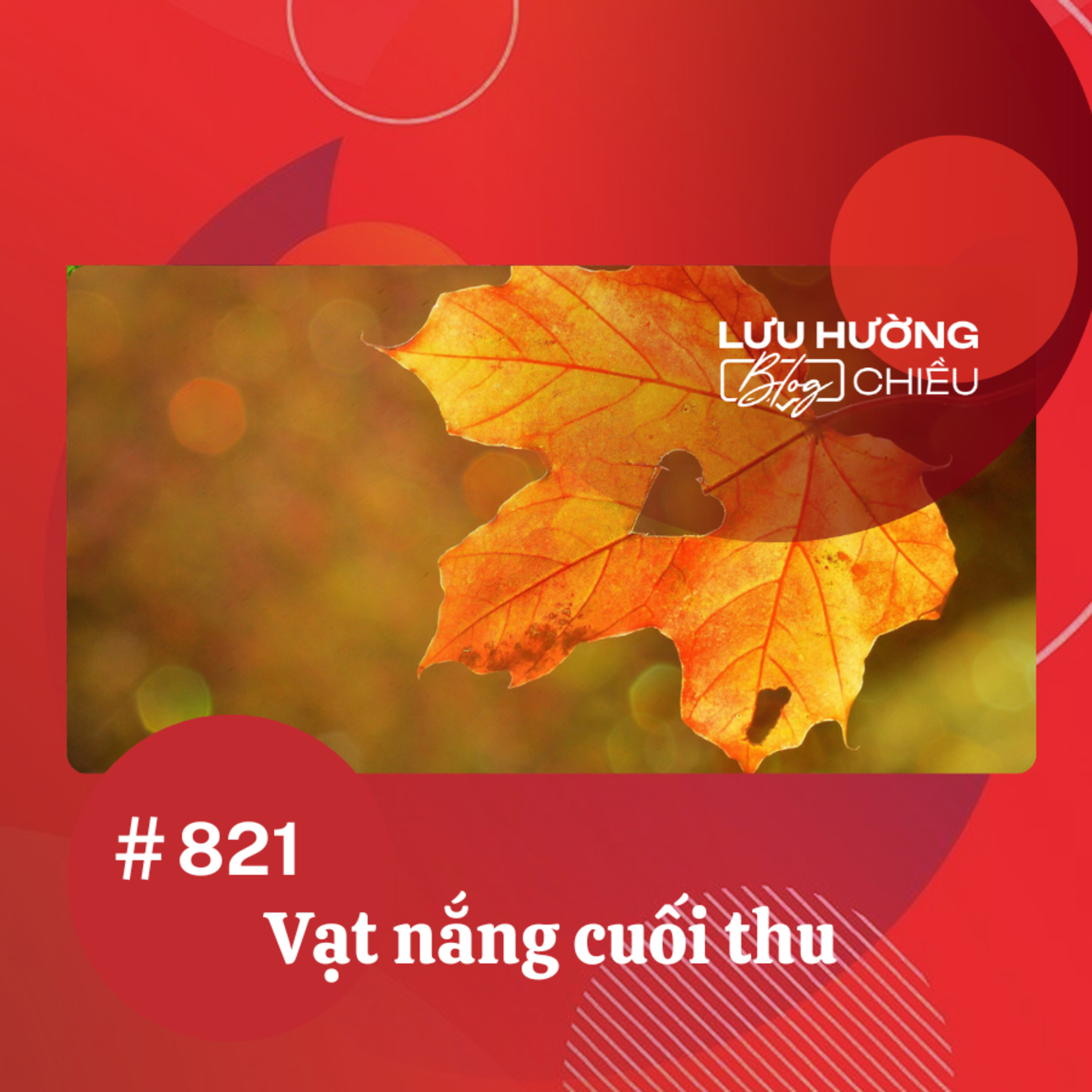 Vạt nắng cuối thu | Lưu Hường blog chiều | Đài Hà Nội episode artwork