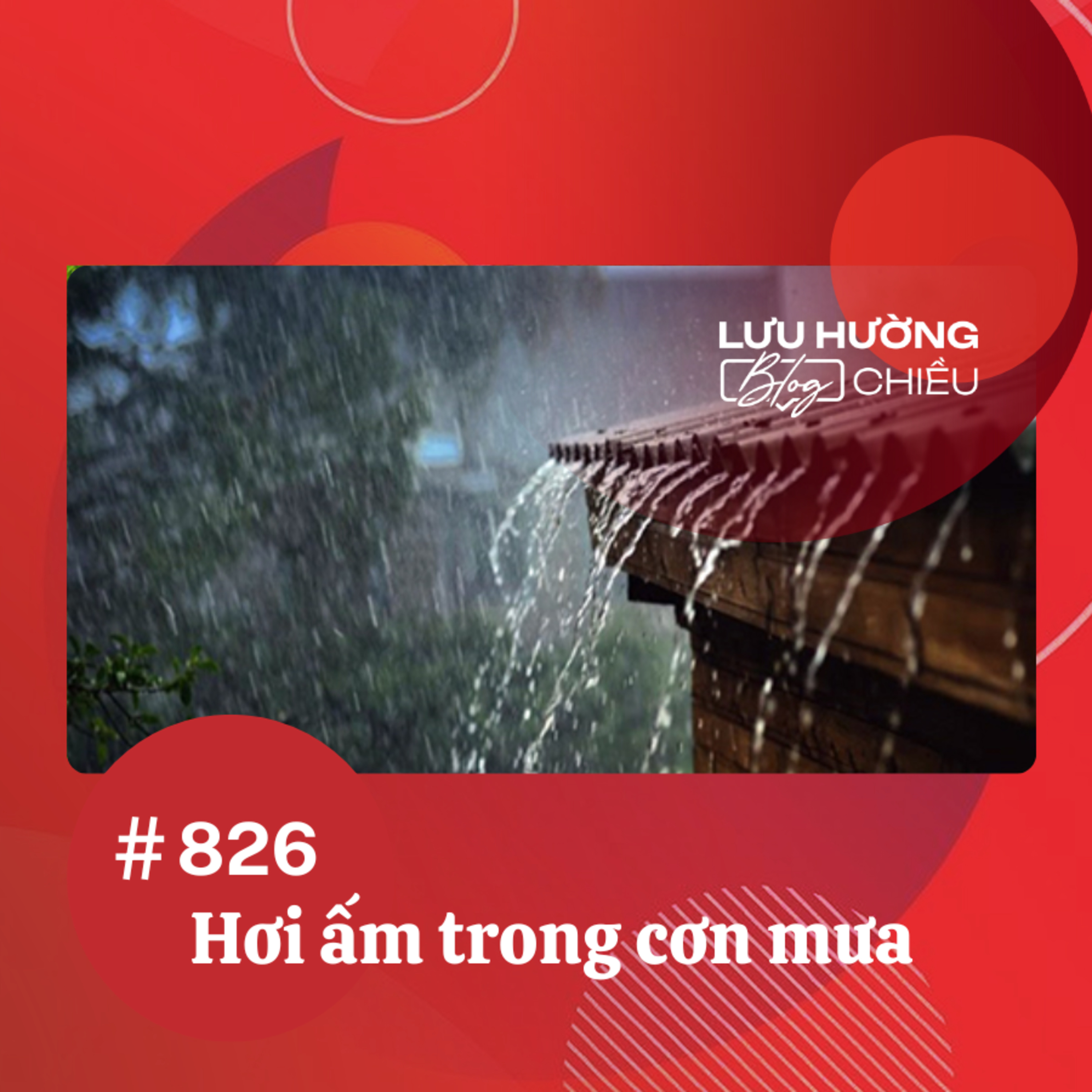  Hơi ấm trong cơn mưa | Lưu Hường blog chiều | Đài Hà Nội episode artwork