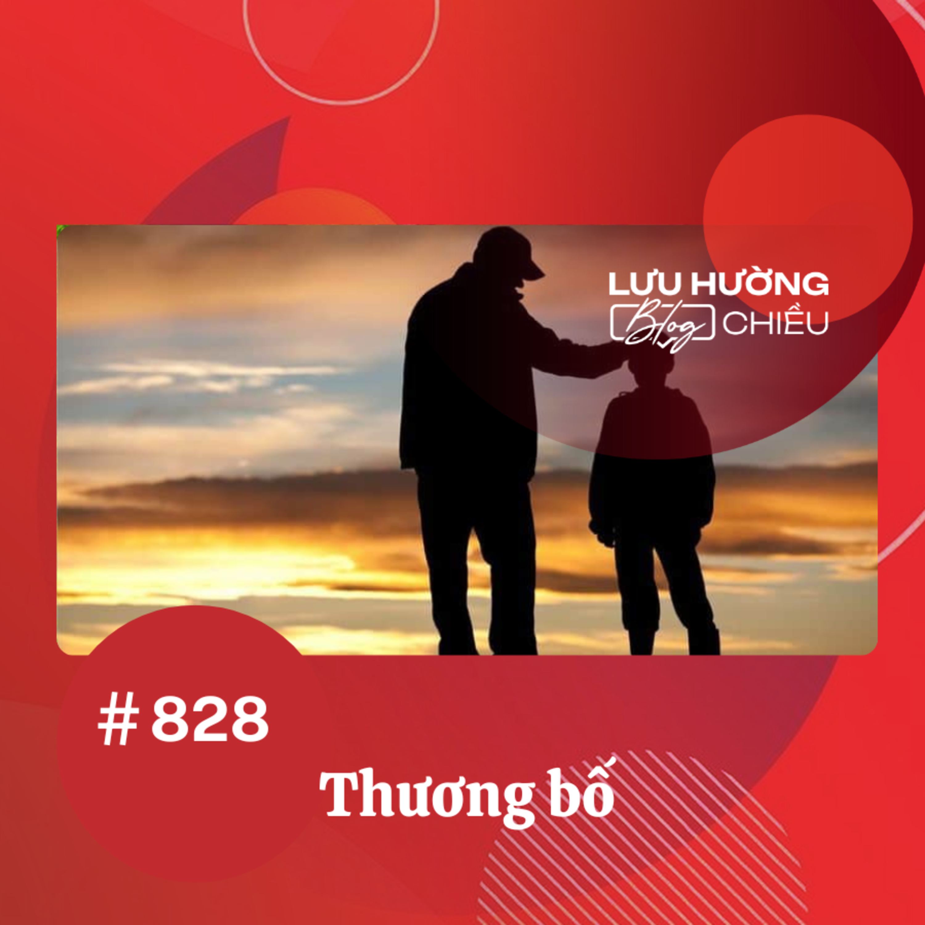  Thương bố | Lưu Hường blog chiều | Đài Hà Nội episode artwork