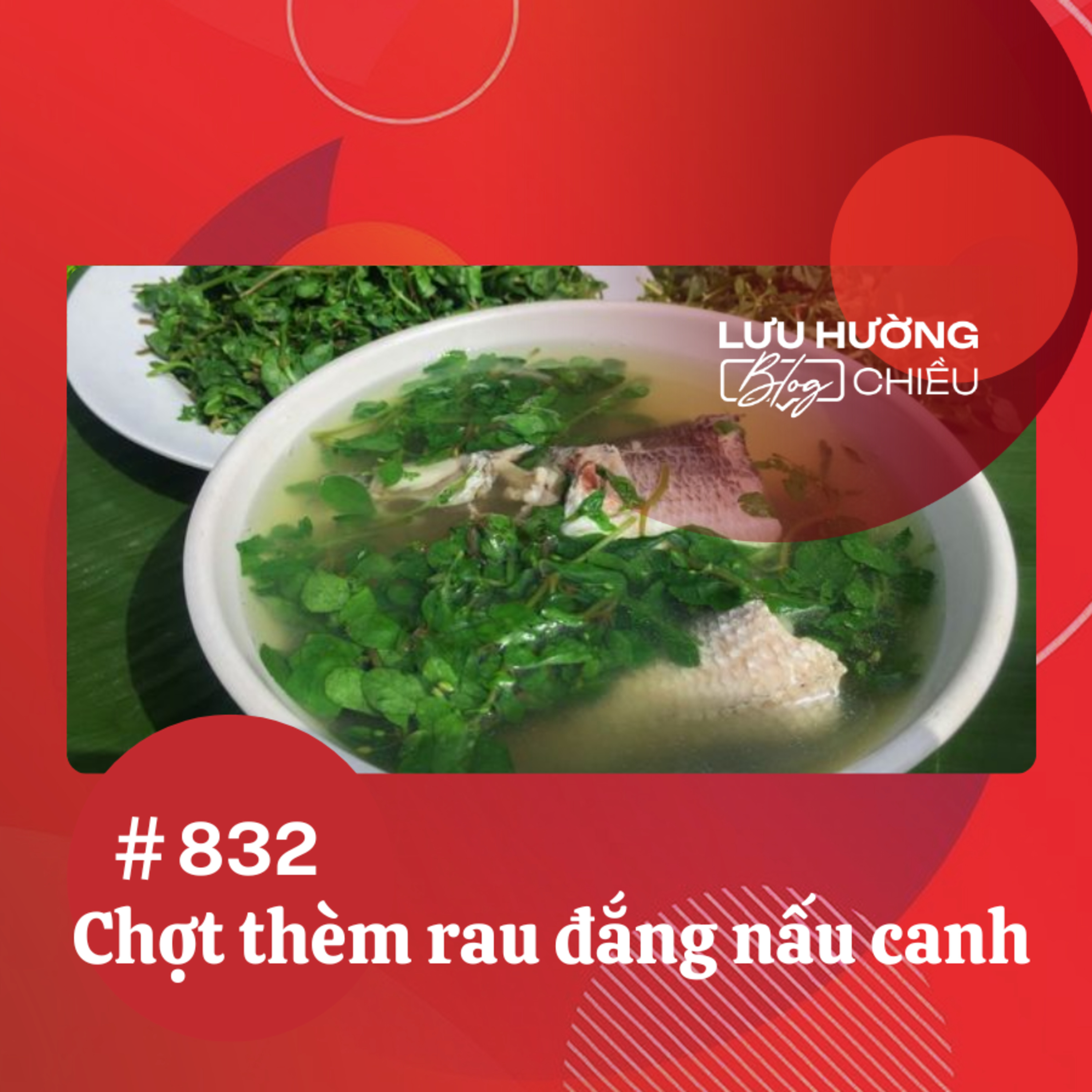  Chợt thèm rau đắng nấu canh | Lưu Hường blog chiều | Đài Hà Nội episode artwork