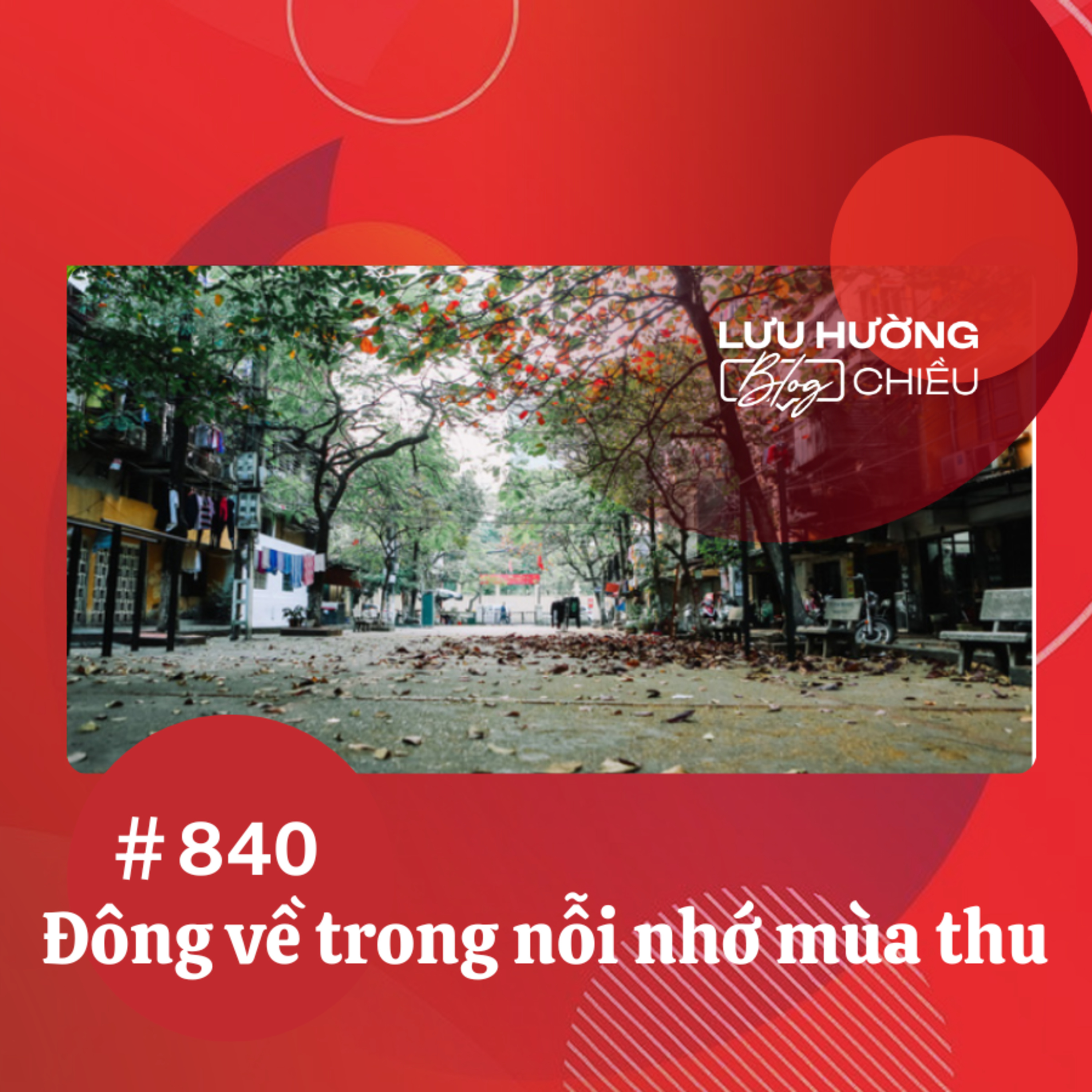  Đông về trong nỗi nhớ mùa thu | Lưu Hường blog chiều | Đài Hà Nội episode artwork