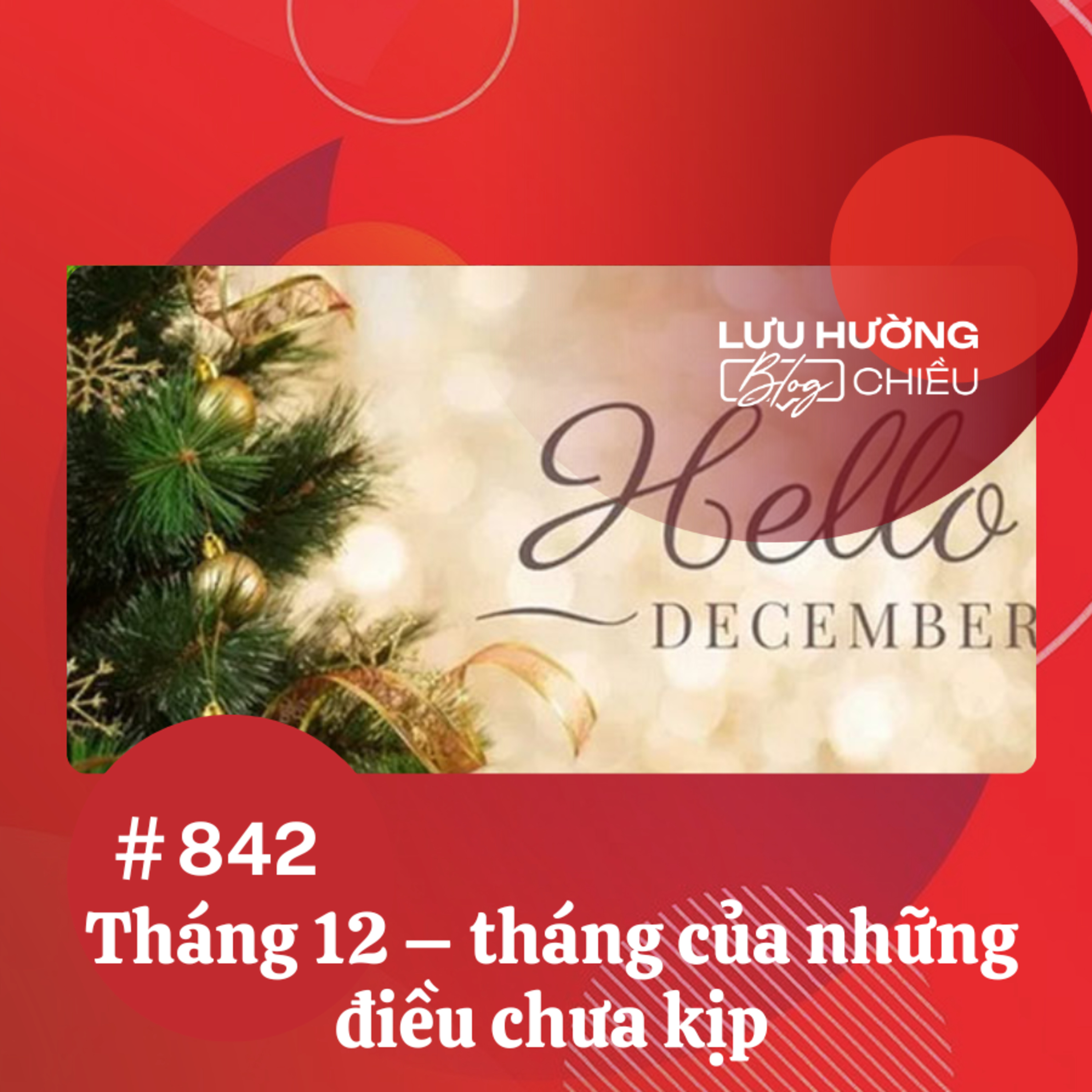  Tháng 12 - tháng của những điều chưa kịp | Lưu Hường blog chiều | Đài Hà Nội episode artwork