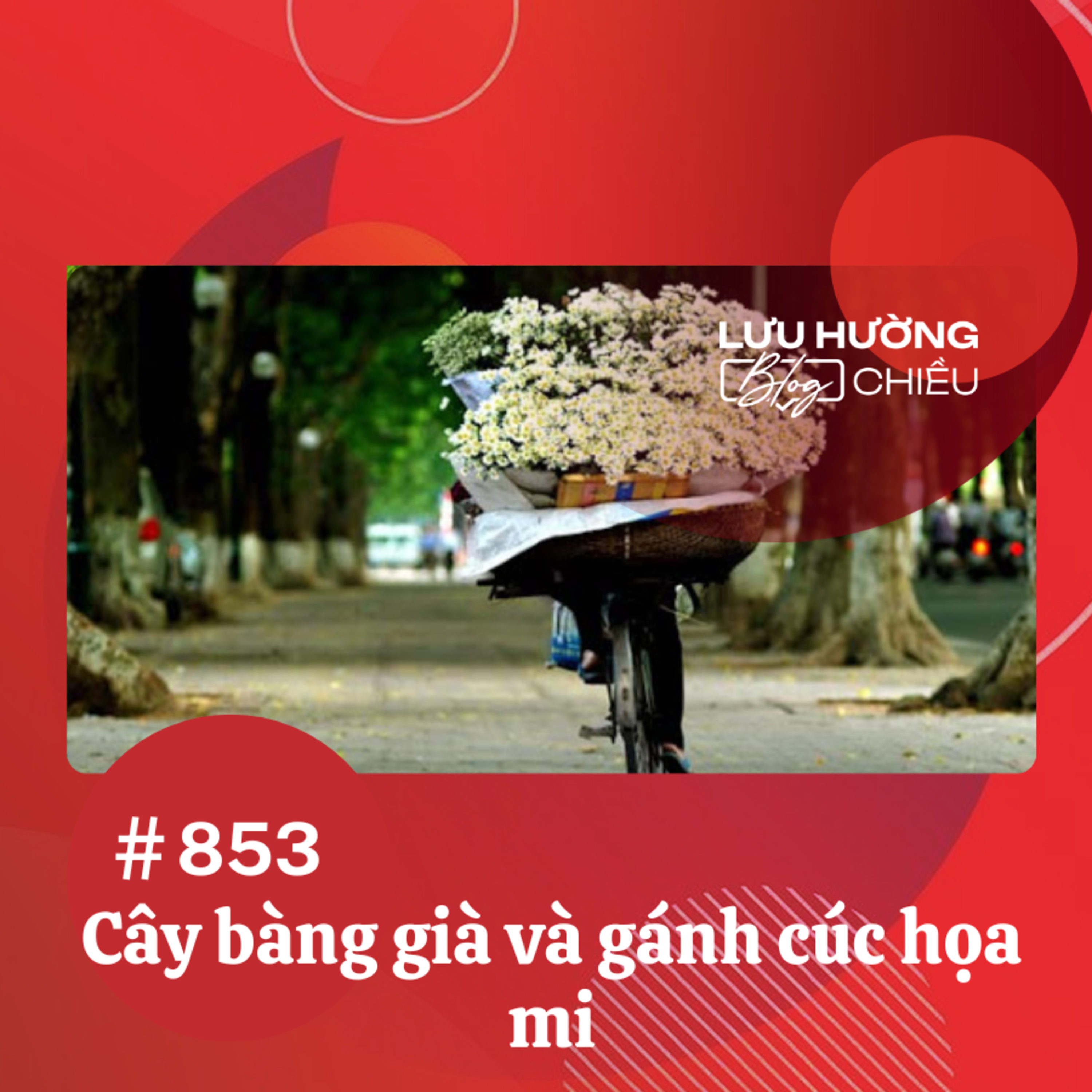  Cây bàng già và gánh cúc họa mi | Lưu Hường blog chiều | Đài Hà Nội episode artwork