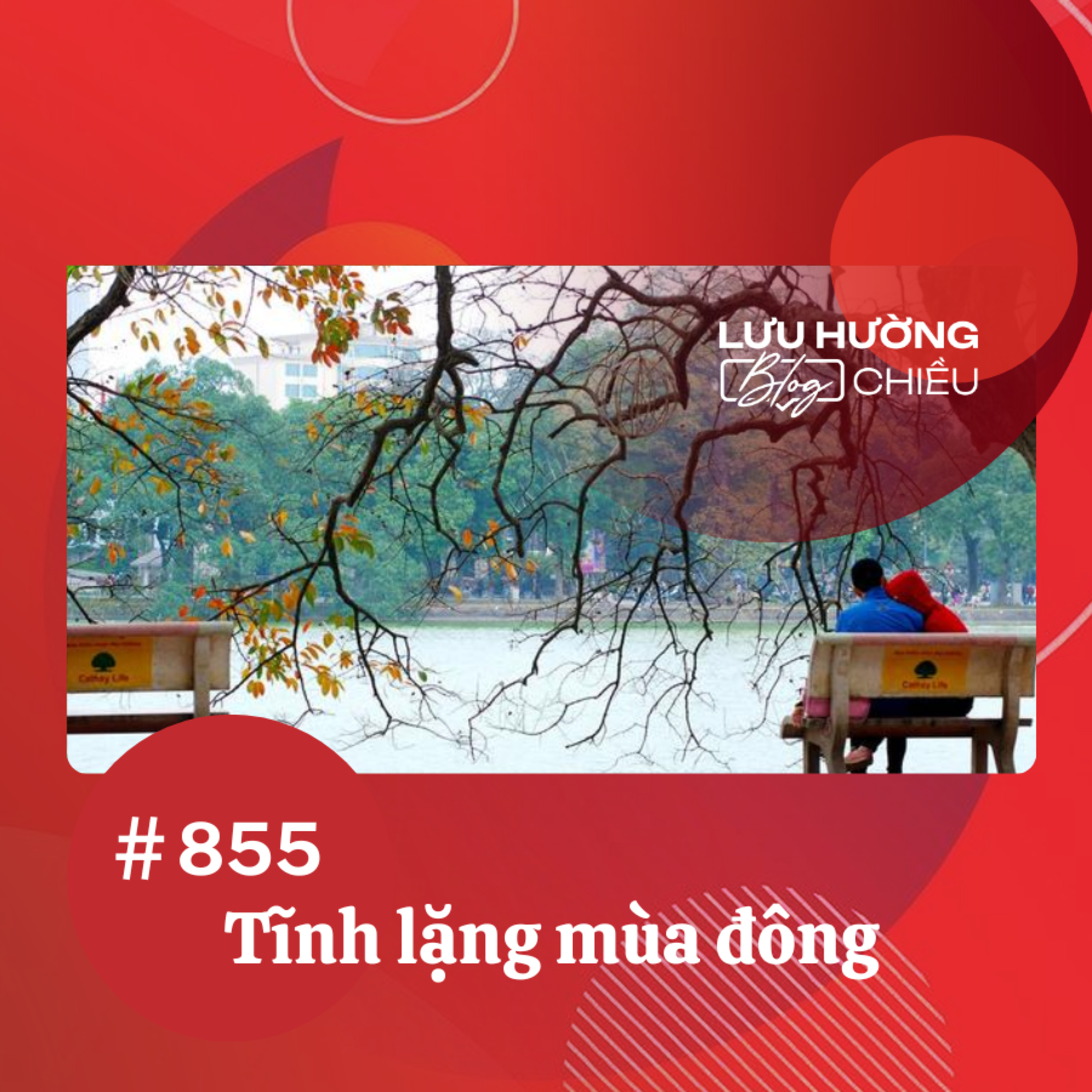 Tĩnh lặng mùa đông | Lưu Hường blog chiều | Đài Hà Nội episode artwork