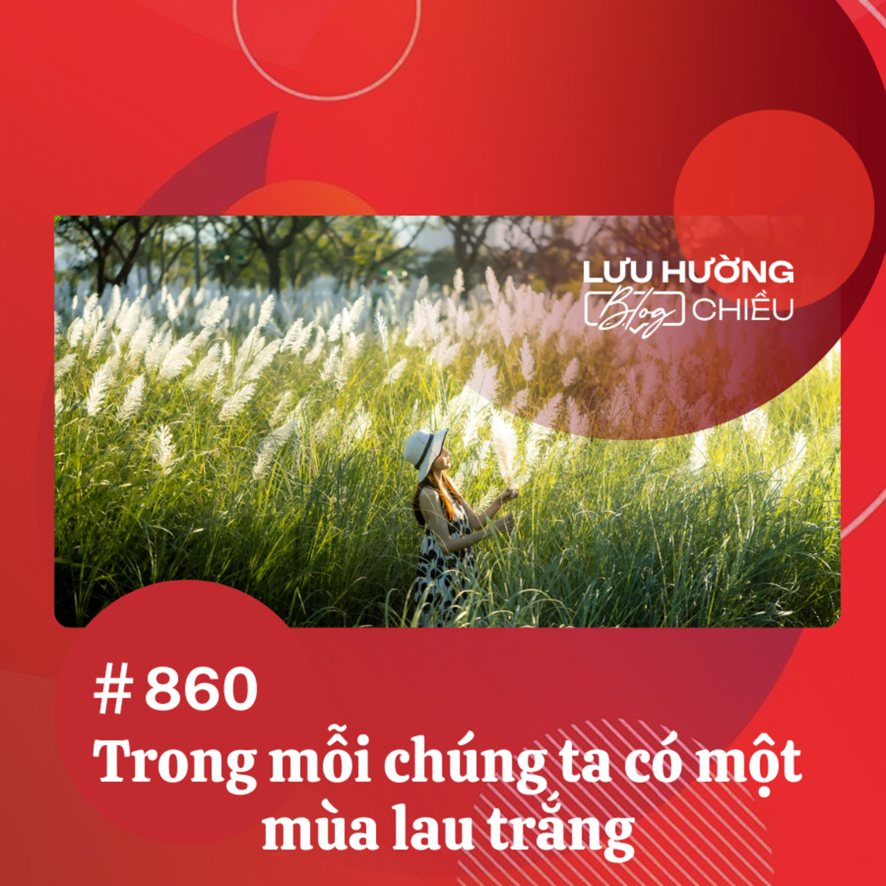  Trong mỗi chúng ta có một mùa lau trắng | Lưu Hường blog chiều | Đài Hà Nội episode artwork