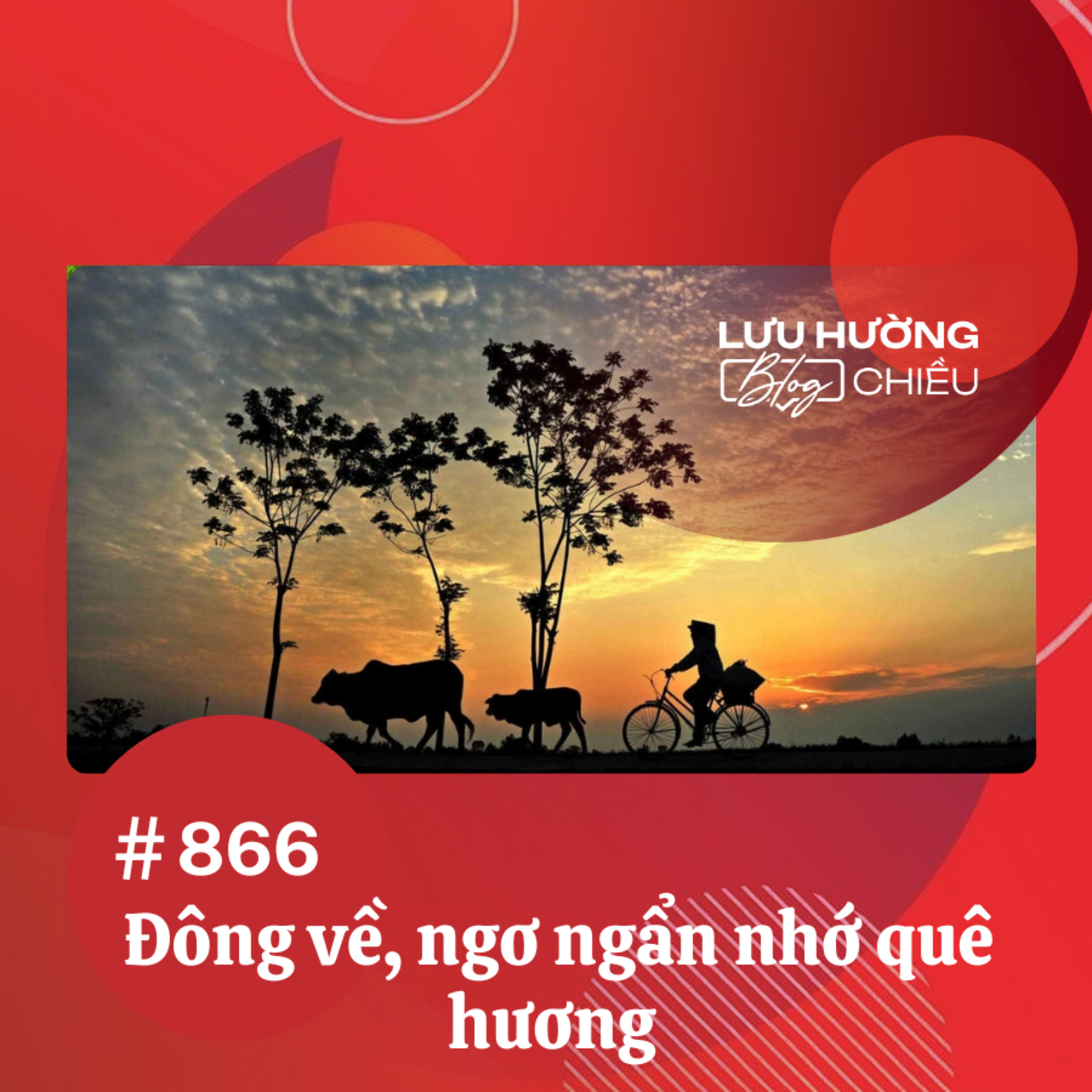  Đông về, ngơ ngẩn nhớ quê hương | Lưu Hường blog chiều | Đài Hà Nội episode artwork