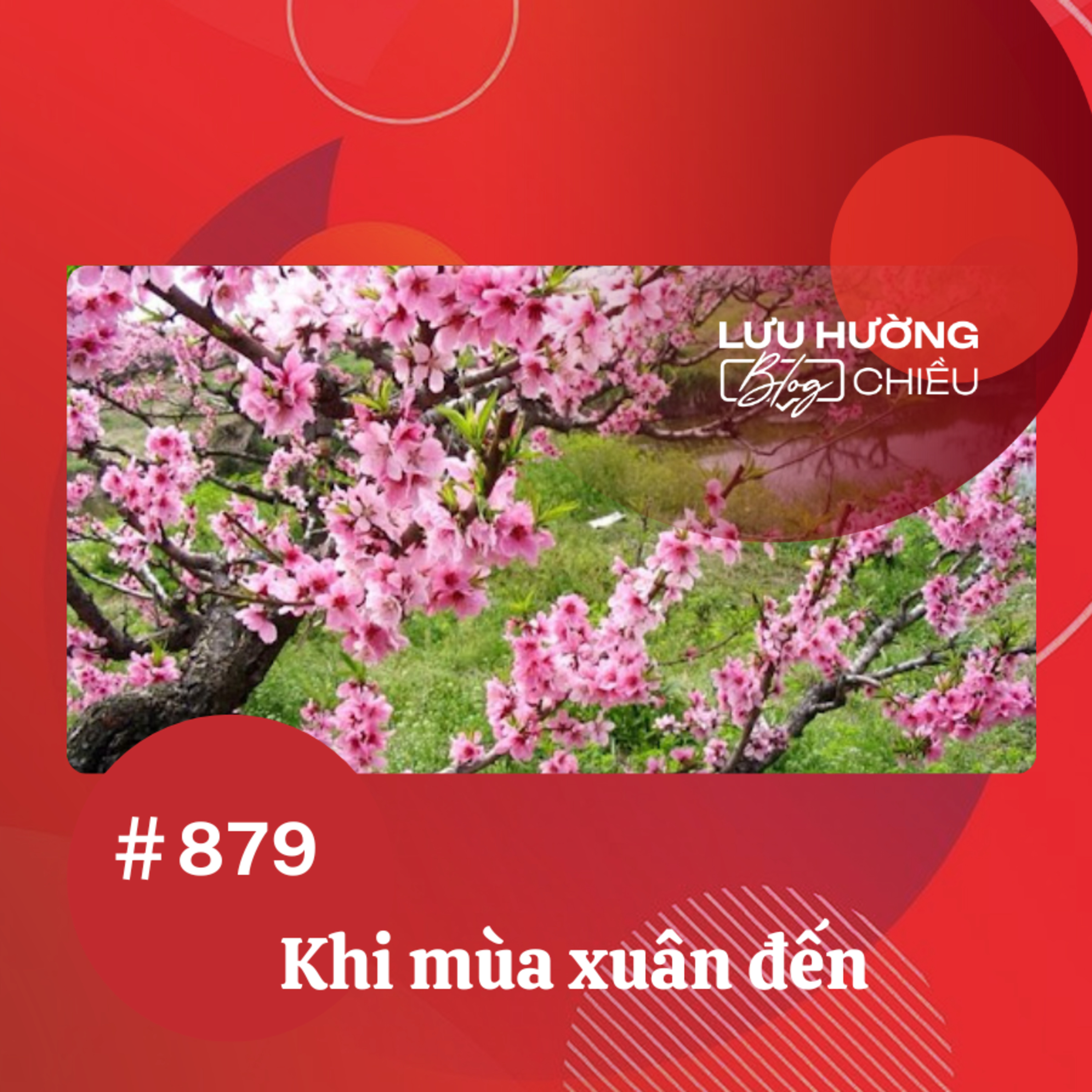  Khi mùa xuân đến | Lưu Hường blog chiều | Đài Hà Nội episode artwork