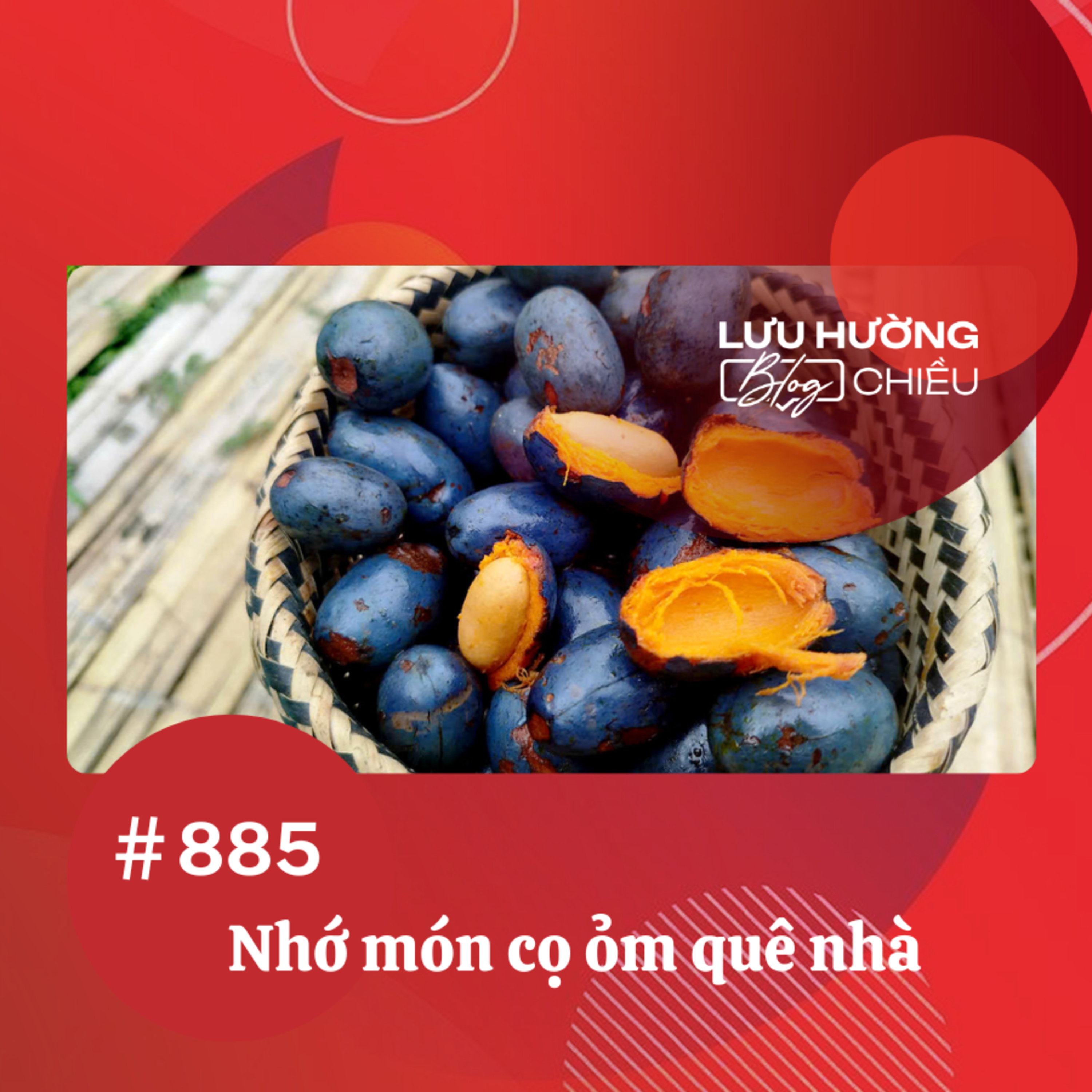 Nhớ món cọ ỏm quê nhà | Lưu Hường blog chiều | Đài Hà Nội episode artwork