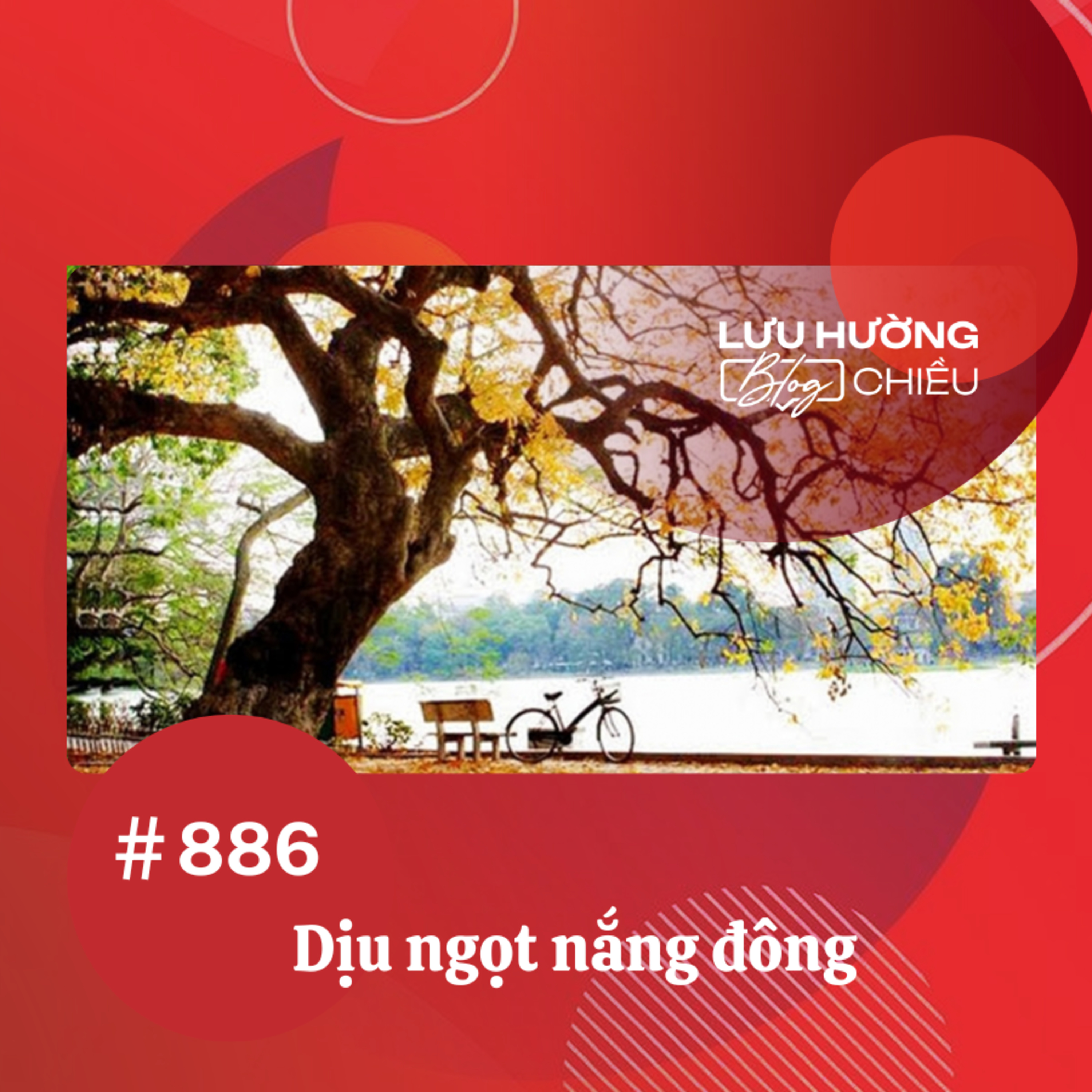  Dịu ngọt nắng đông | Lưu Hường blog chiều | Đài Hà Nội episode artwork