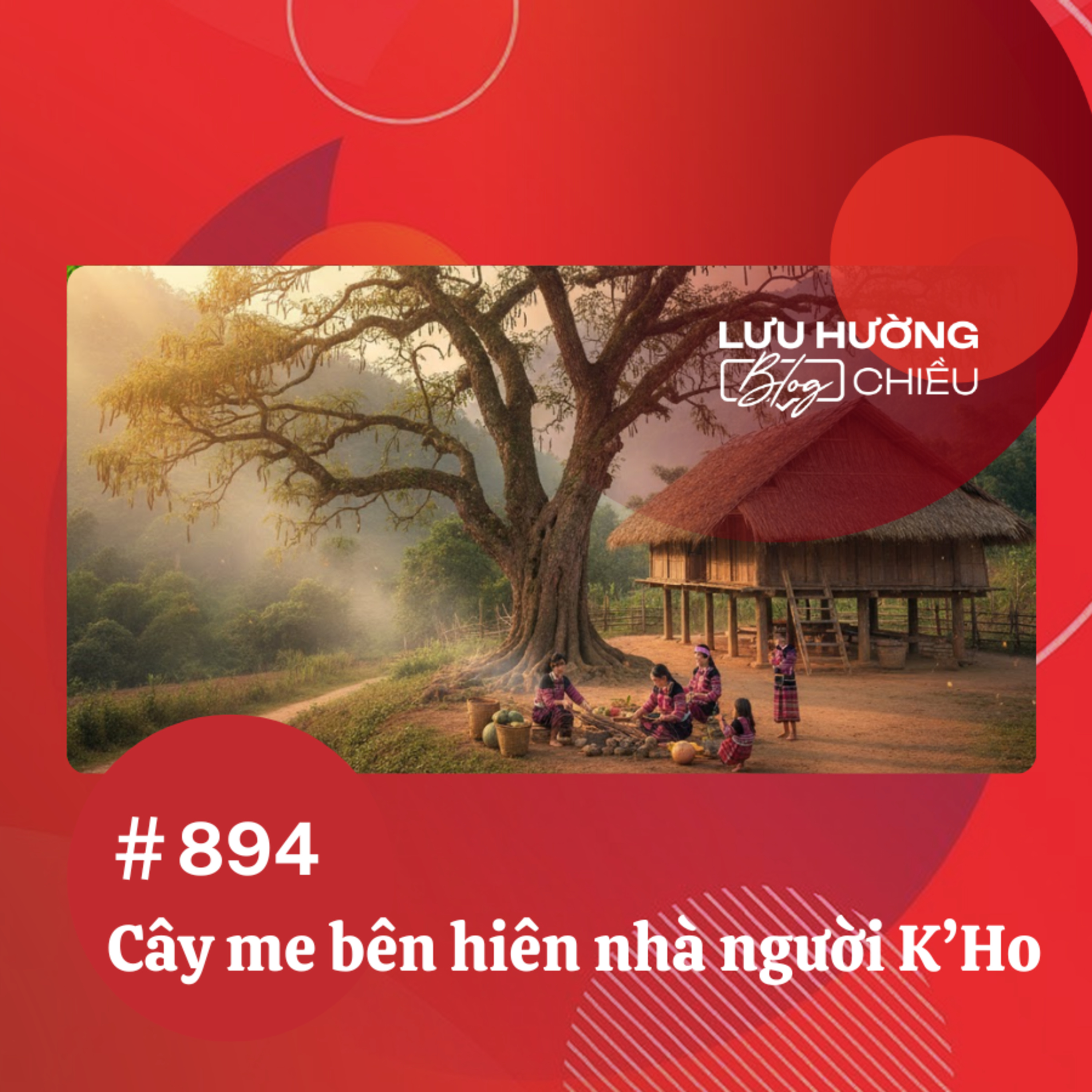  Cây me bên hiên nhà người K’Ho | Lưu Hường blog chiều | Đài Hà Nội episode artwork