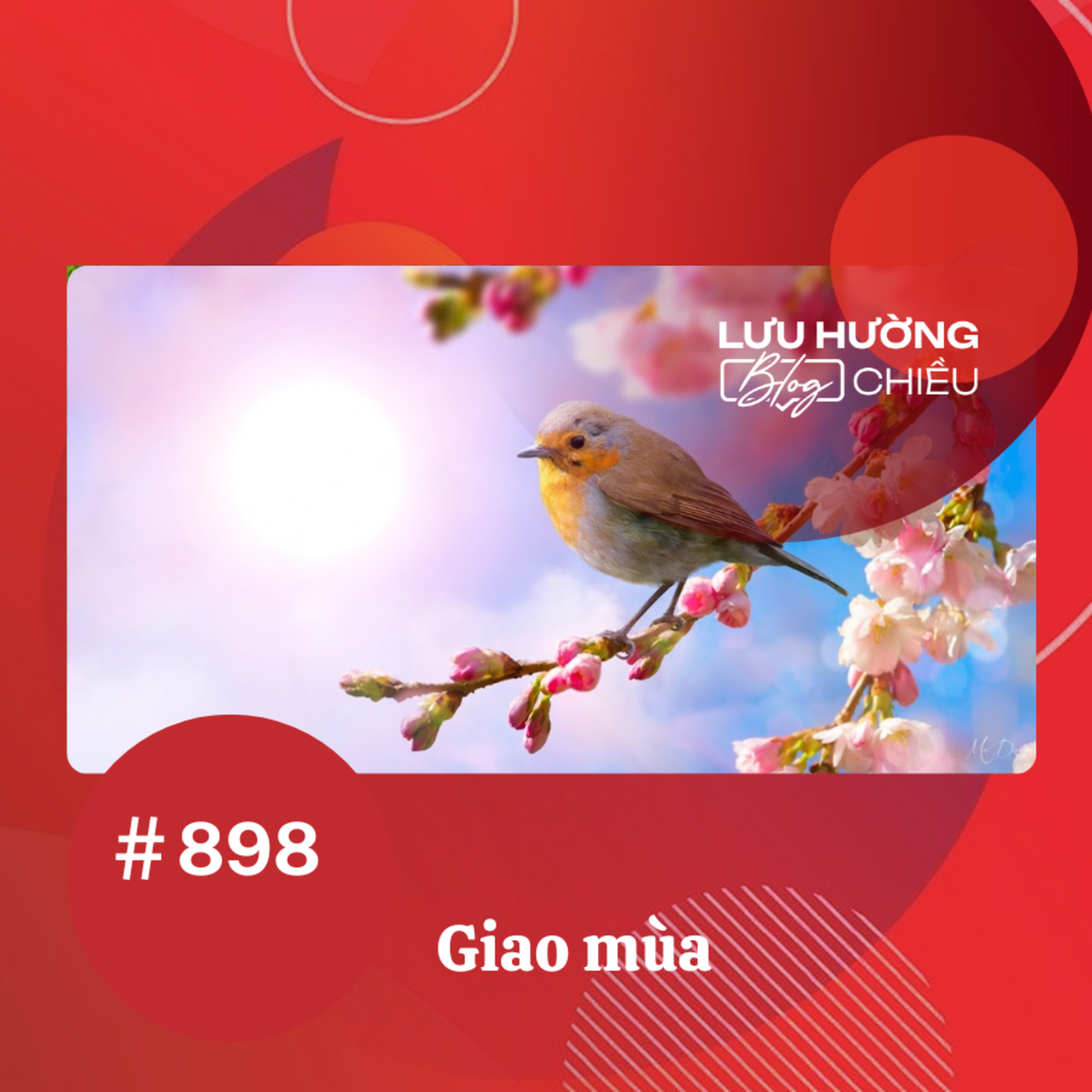  Giao mùa | Lưu Hường blog chiều | Đài Hà Nội episode artwork