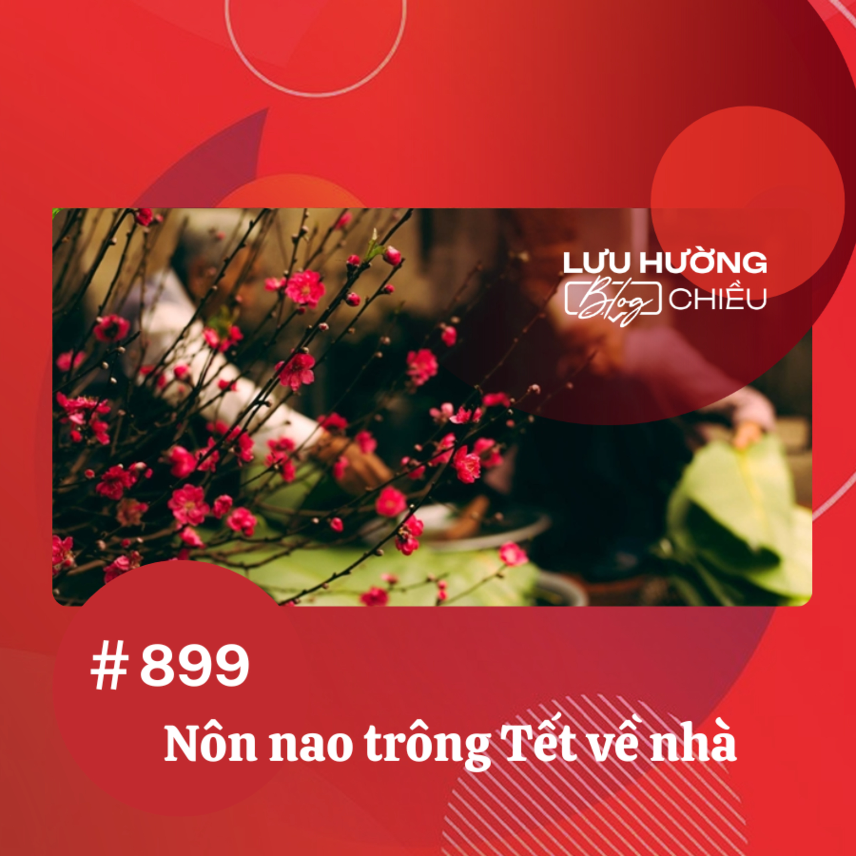  Nôn nao trông Tết về nhà | Lưu Hường blog chiều | Đài Hà Nội episode artwork