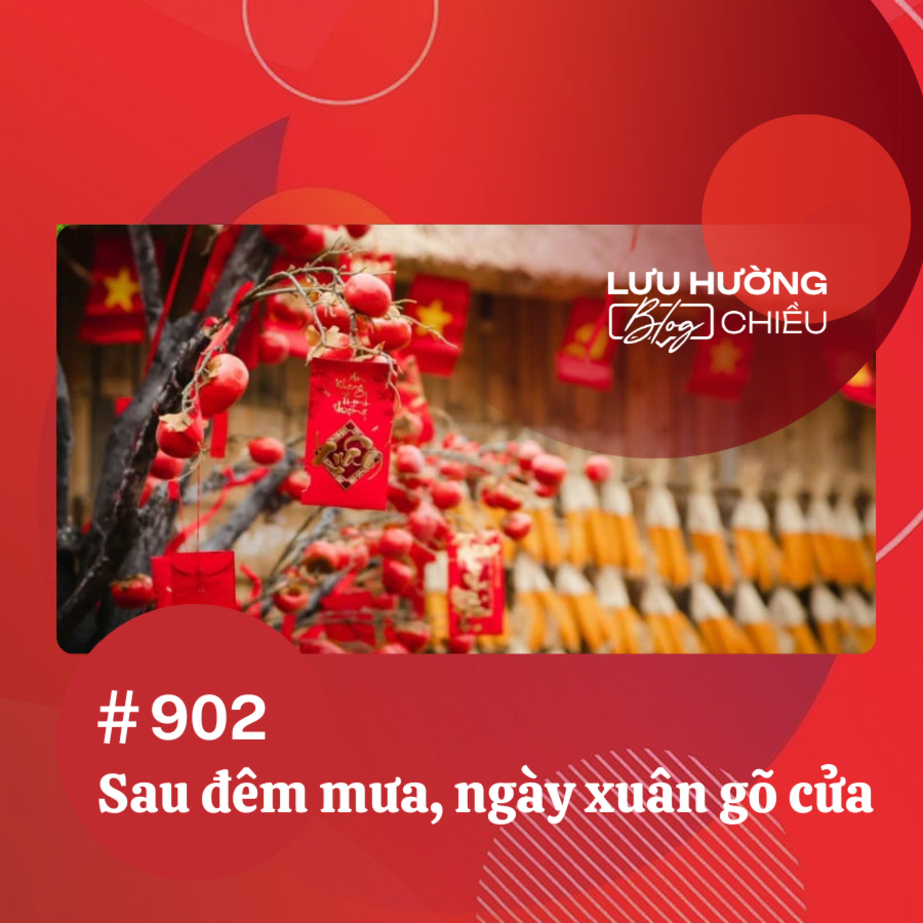  Sau đêm mưa, ngày xuân gõ cửa | Lưu Hường blog chiều | Đài Hà Nội