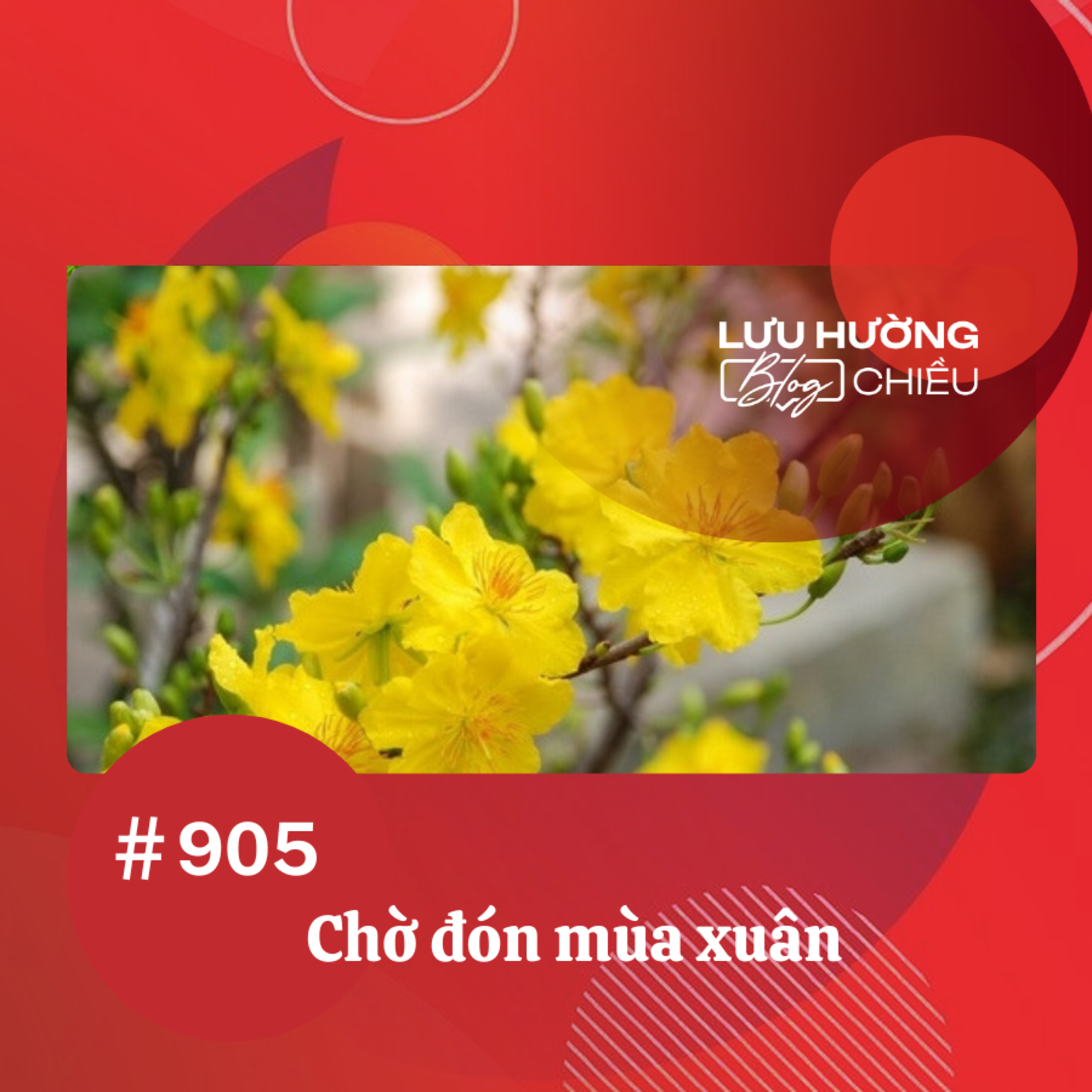 Chờ đón mùa xuân | Lưu Hường blog chiều | Đài Hà Nội episode artwork