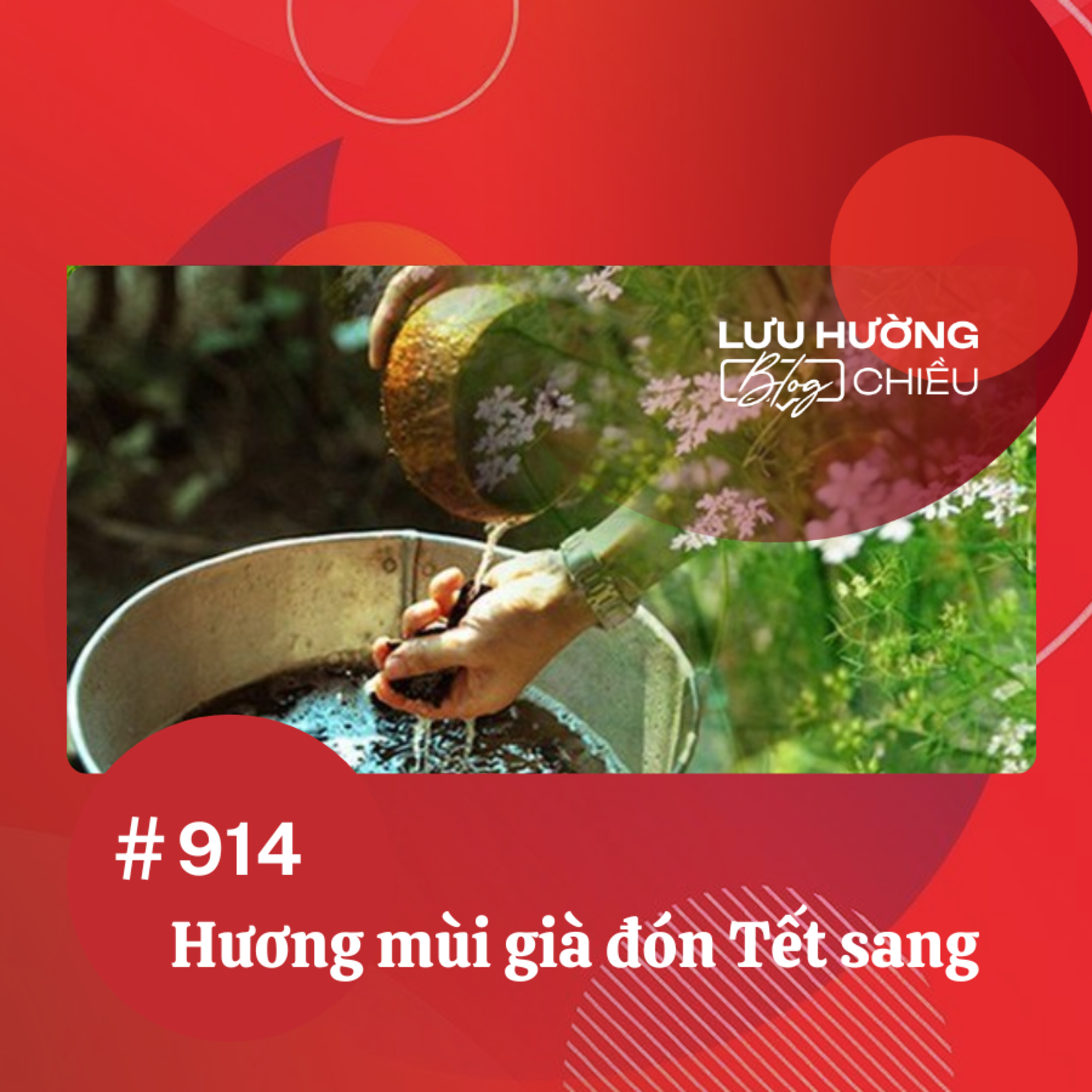  Hương mùi già đón Tết sang | Lưu Hường blog chiều | Đài Hà Nội episode artwork