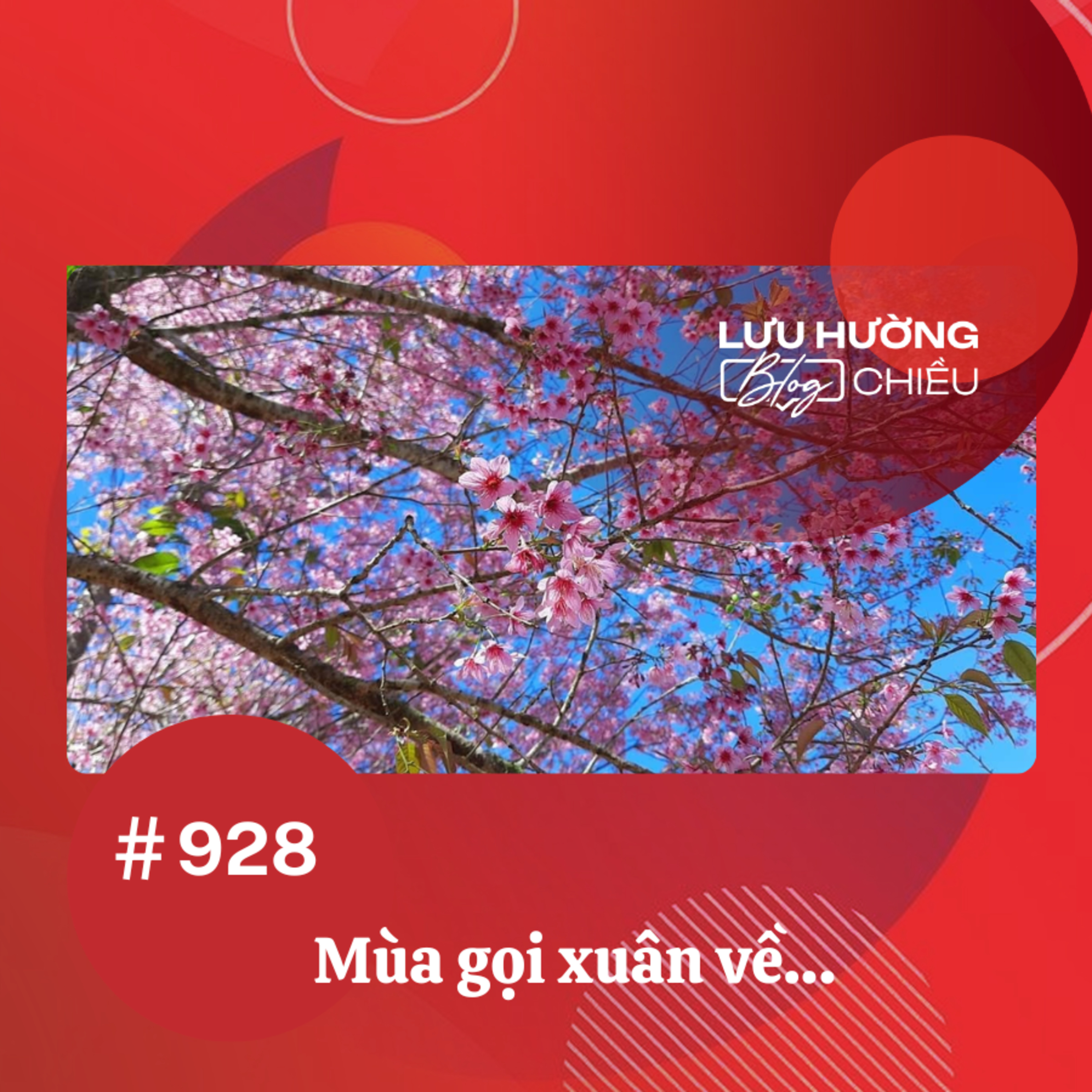  Mùa gọi xuân về… | Lưu Hường blog chiều | Đài Hà Nội episode artwork