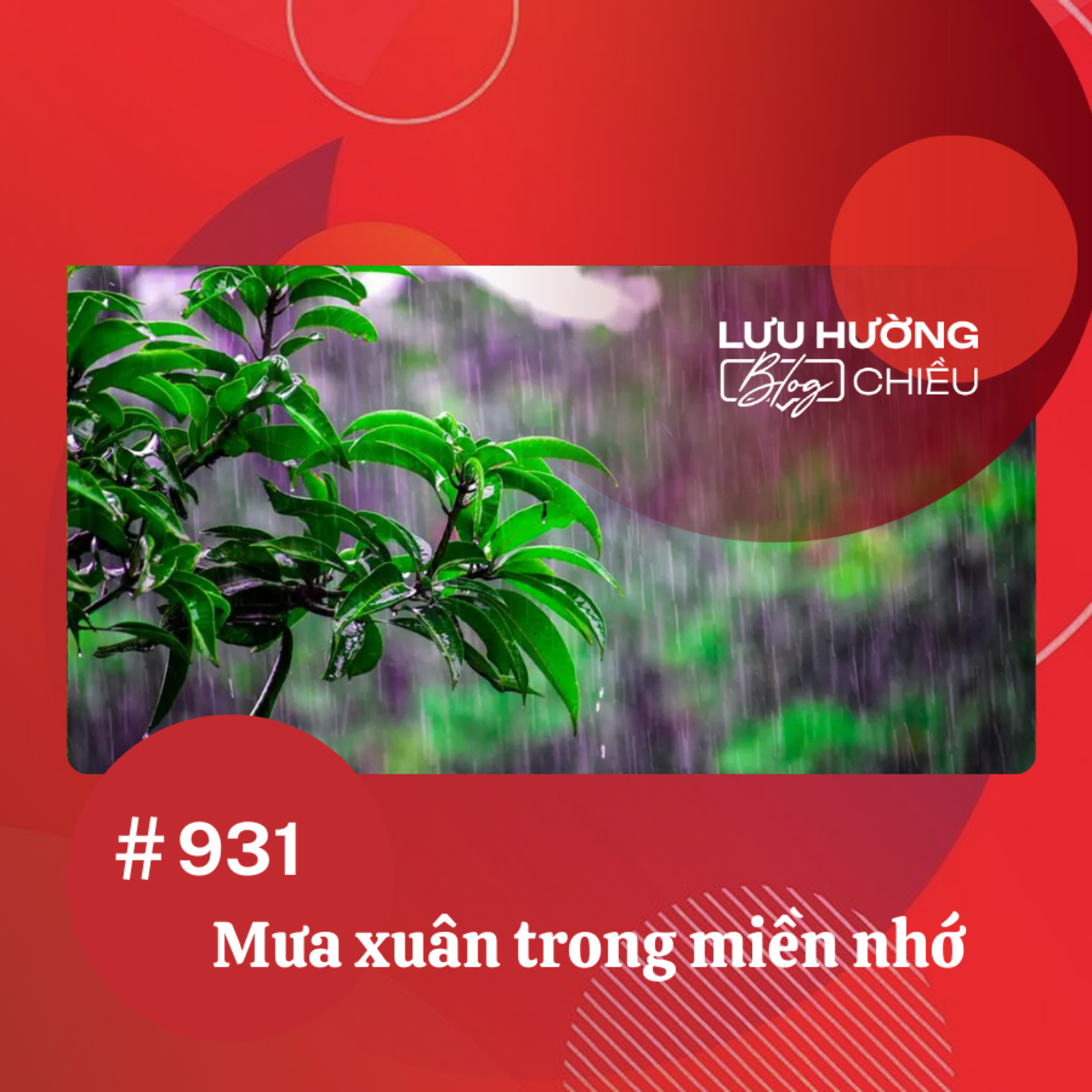 Mưa xuân trong miền nhớ | Lưu Hường blog chiều | Đài Hà Nội
