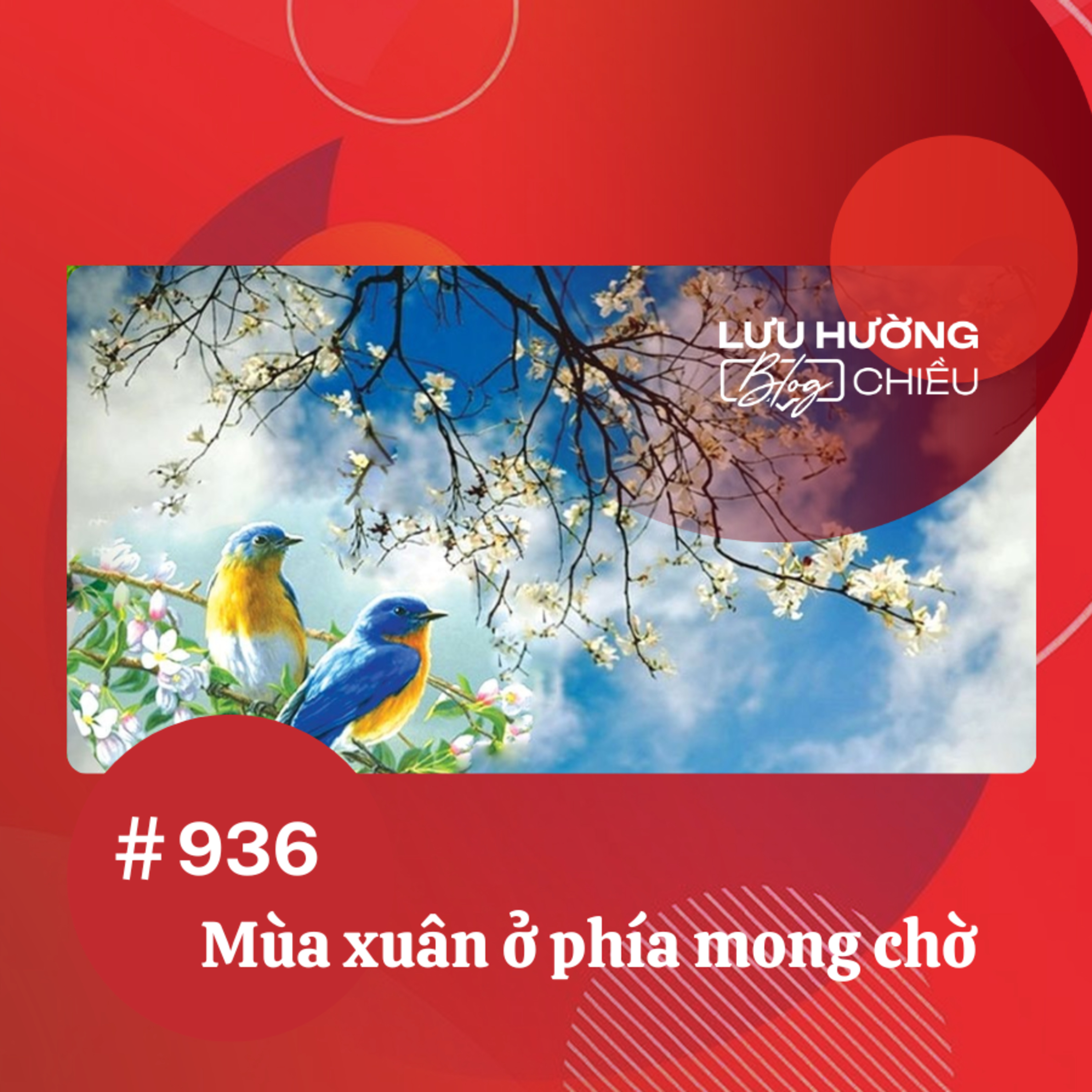  Mùa xuân ở phía mong chờ | Lưu Hường blog chiều | Đài Hà Nội episode artwork