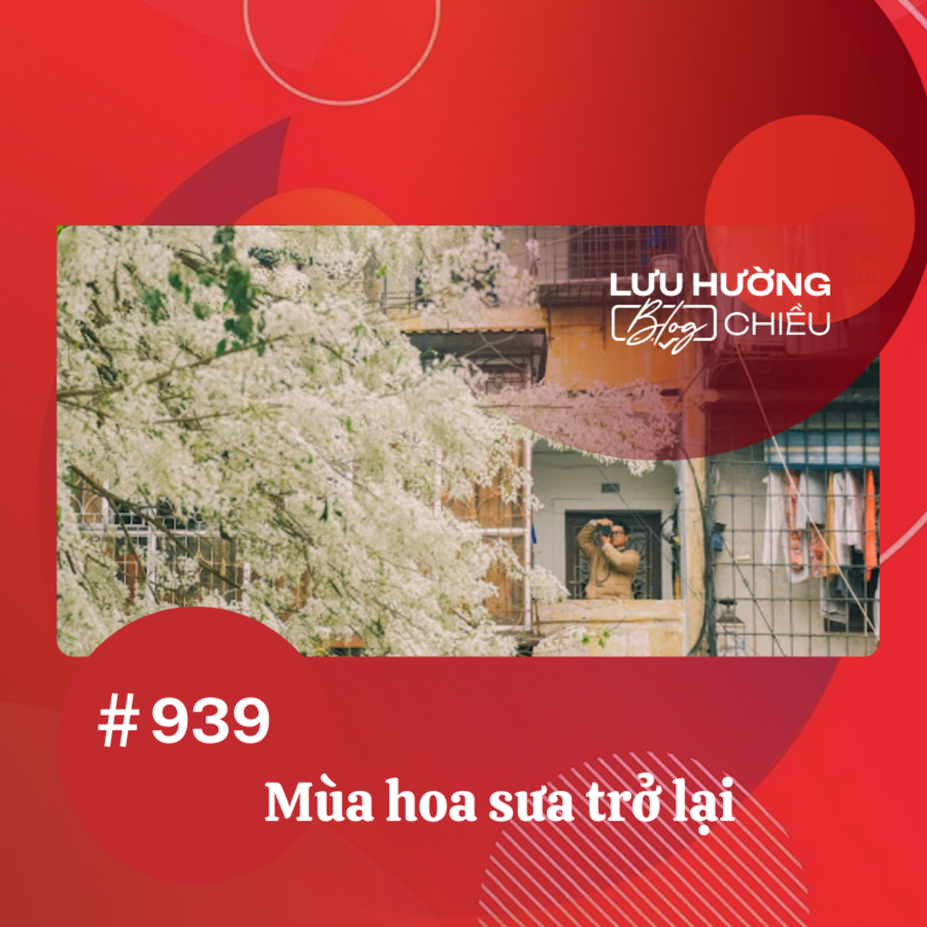  Mùa hoa sưa trở lại | Lưu Hường blog chiều | Đài Hà Nội episode artwork