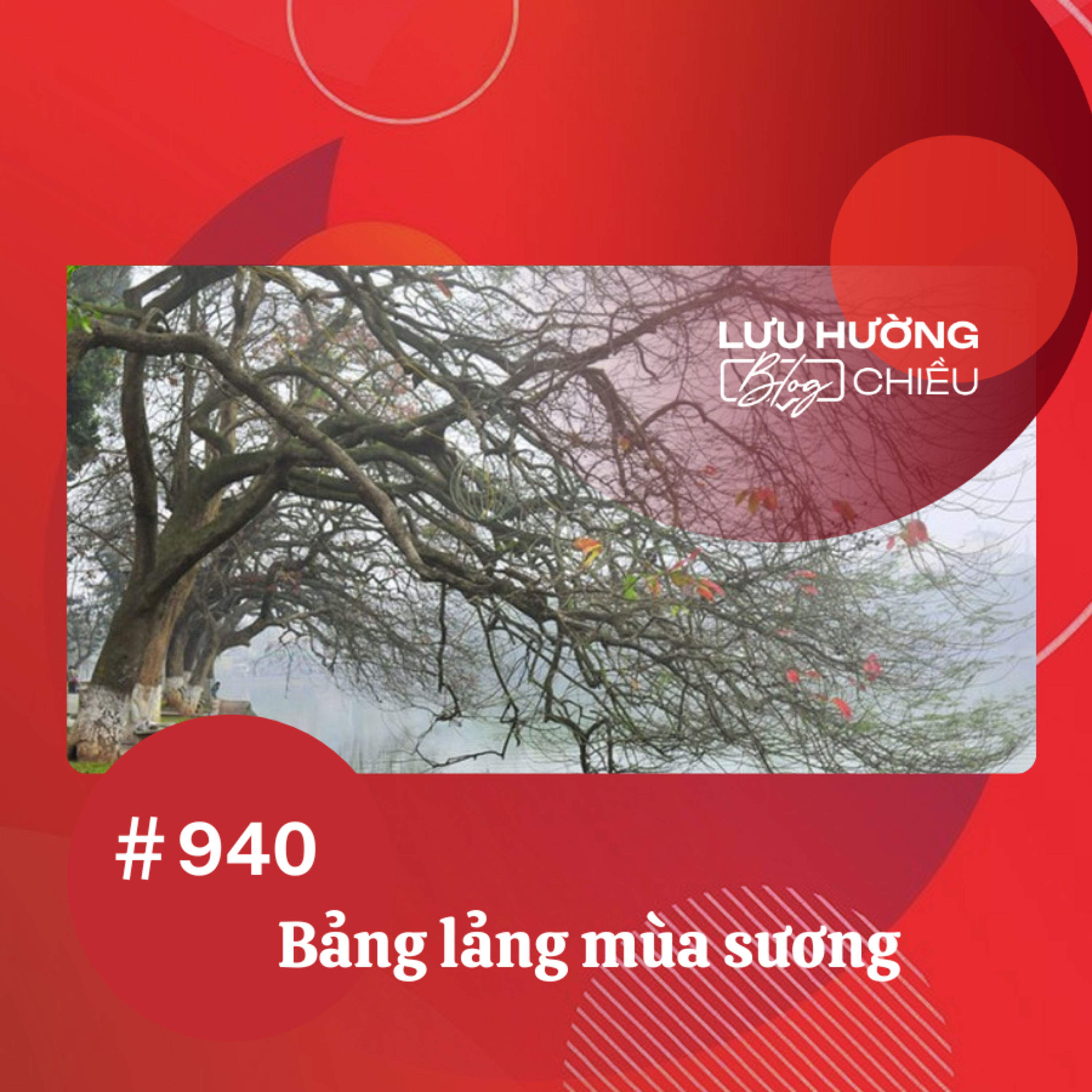  Bảng lảng mùa sương | Lưu Hường blog chiều | Đài Hà Nội episode artwork