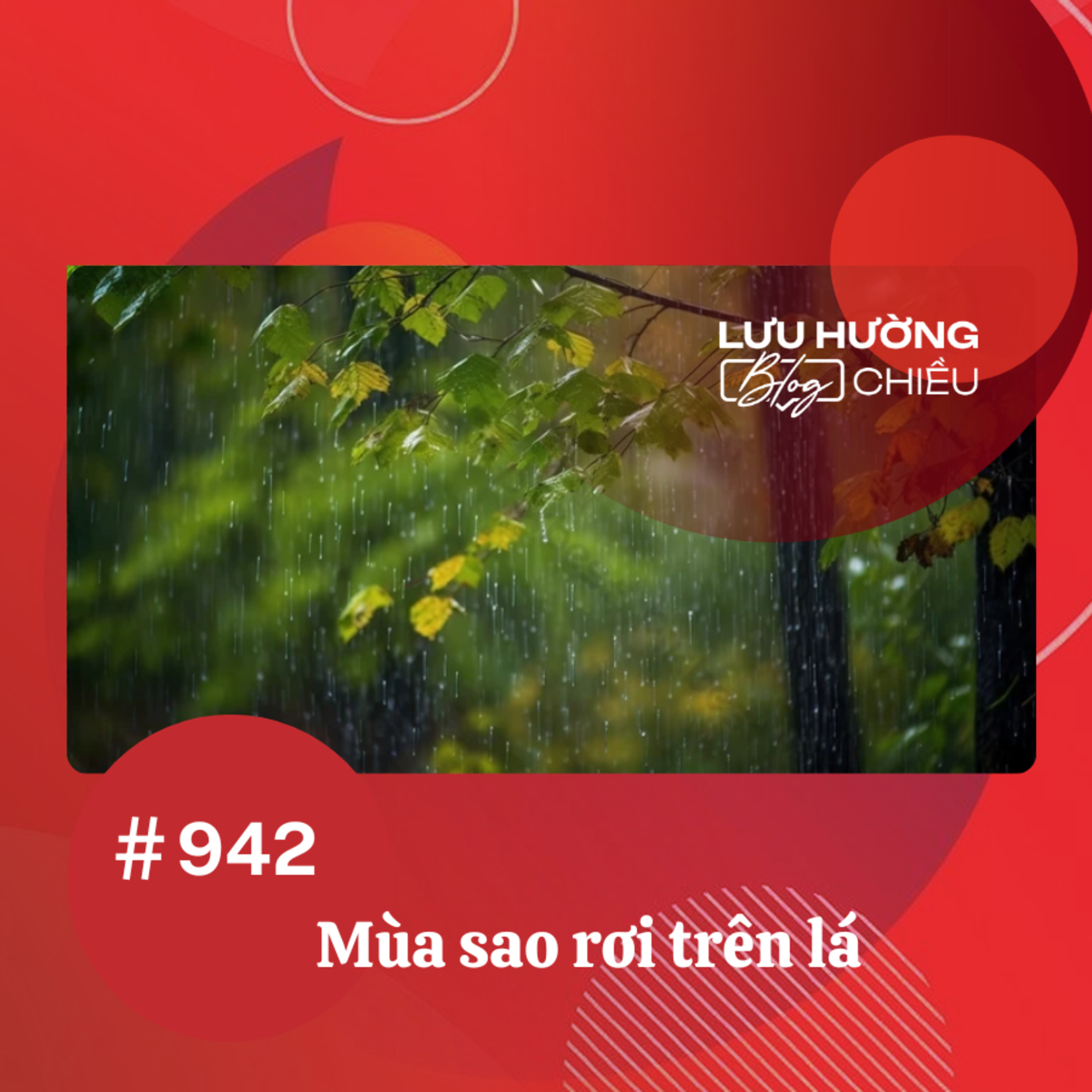Mùa sao rơi trên lá | Lưu Hường blog chiều | Đài Hà Nội