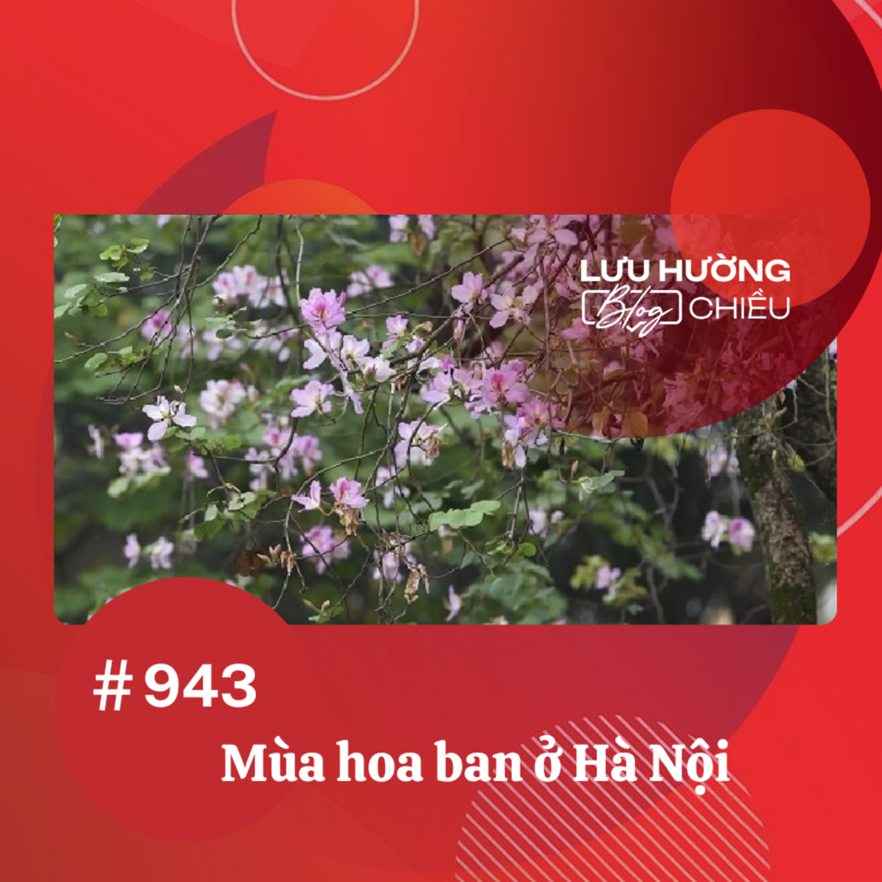 Đài Hà Nội | Lưu Hường Blog chiều | Podcast