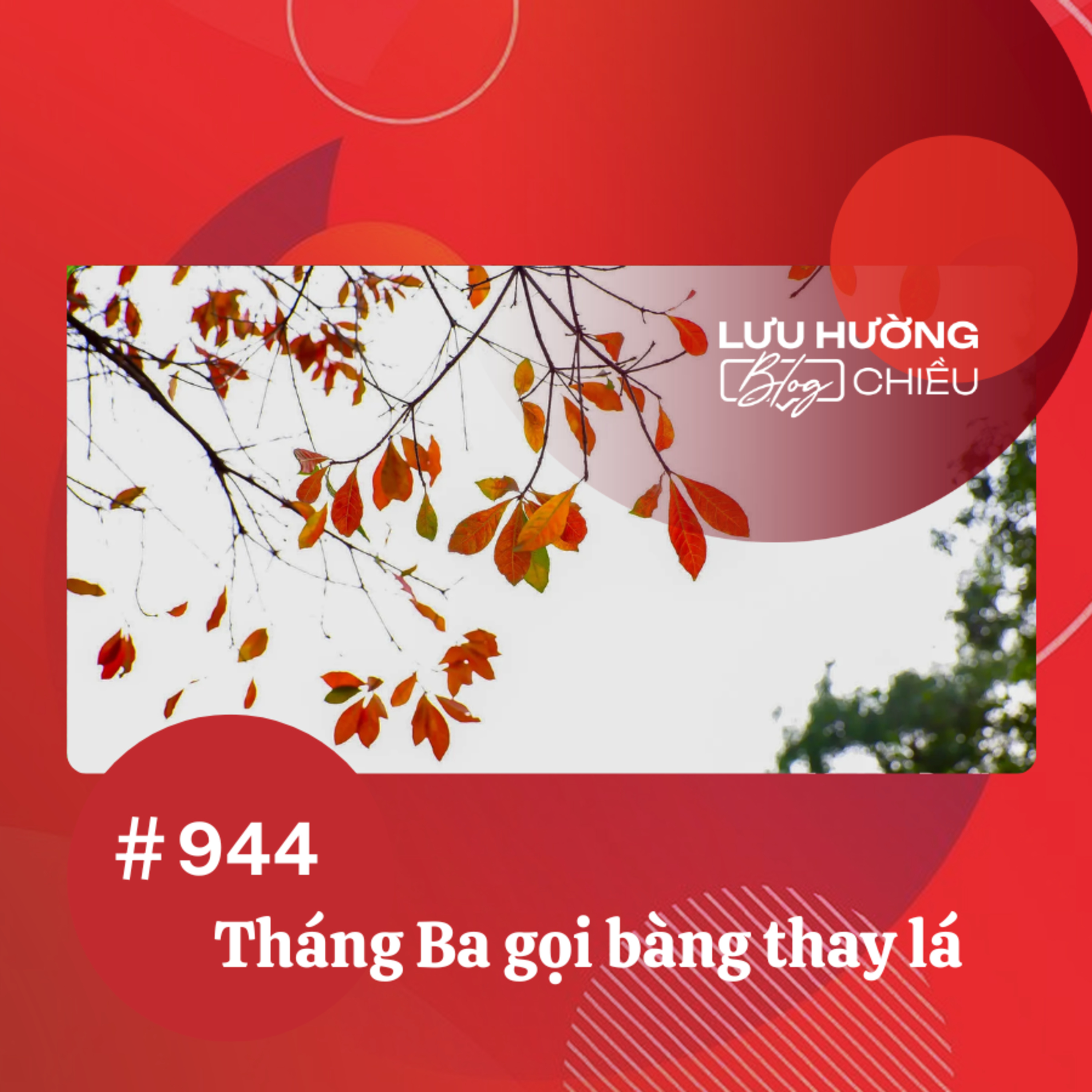  Tháng Ba gọi bàng thay lá | Lưu Hường blog chiều | Đài Hà Nội episode artwork