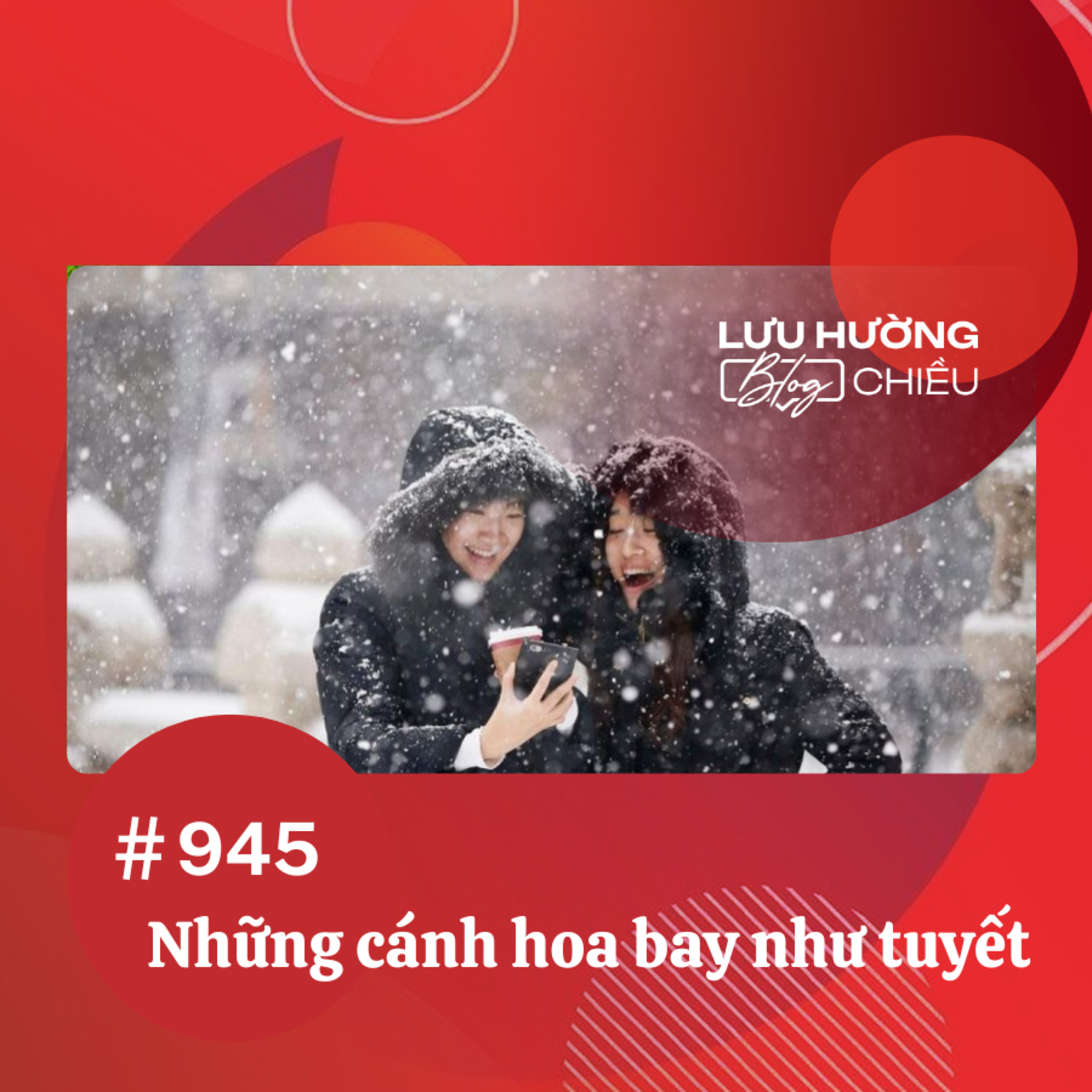 Những cánh hoa bay như tuyết | Lưu Hường blog chiều | Đài Hà Nội