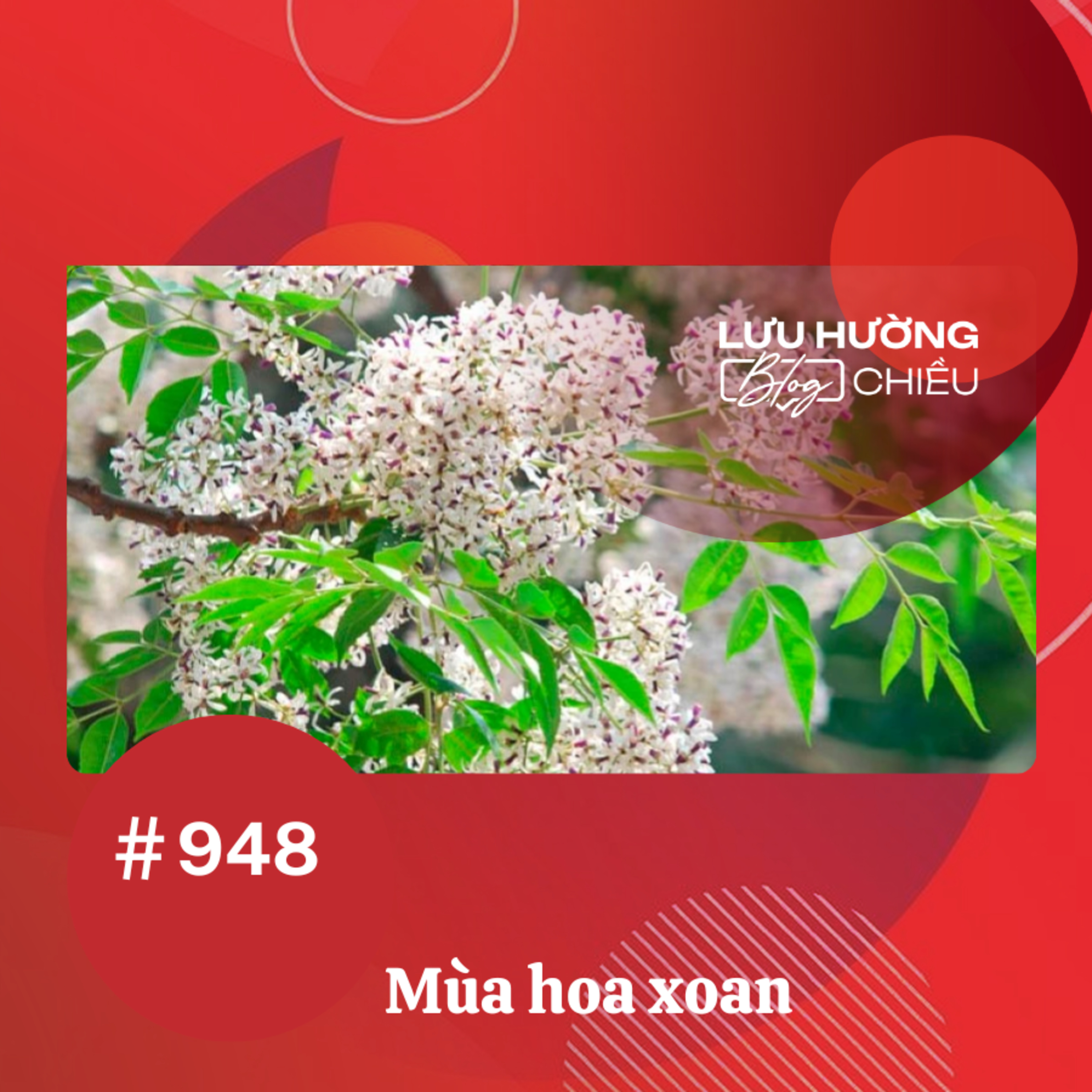  Mùa hoa xoan | Lưu Hường blog chiều | Đài Hà Nội episode artwork