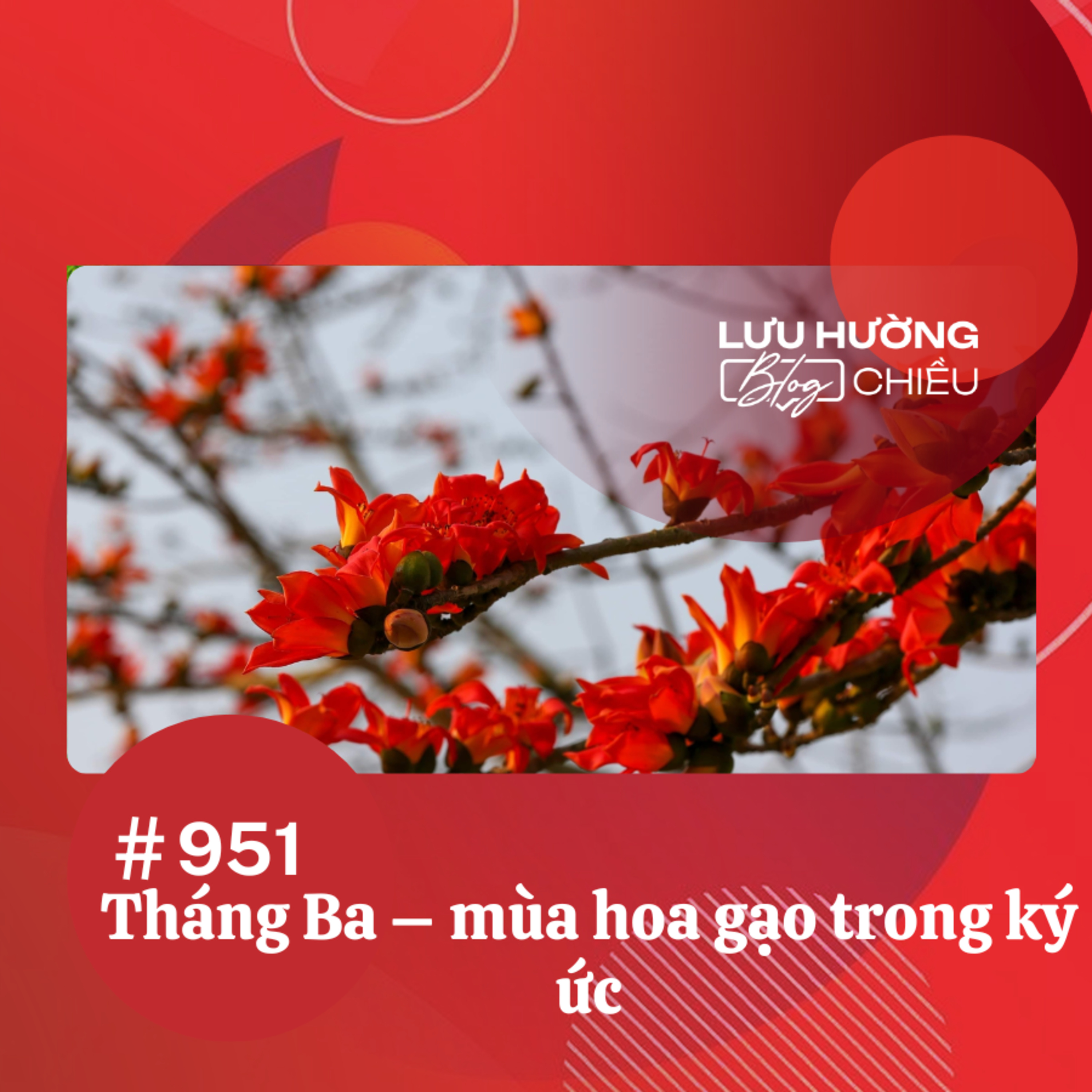 Tháng Ba – mùa hoa gạo trong ký ức | Lưu Hường blog chiều | Đài Hà Nội